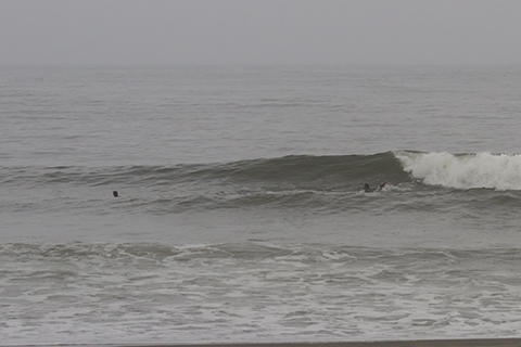 支部予選'19 SURF+(SURF PLUS)-