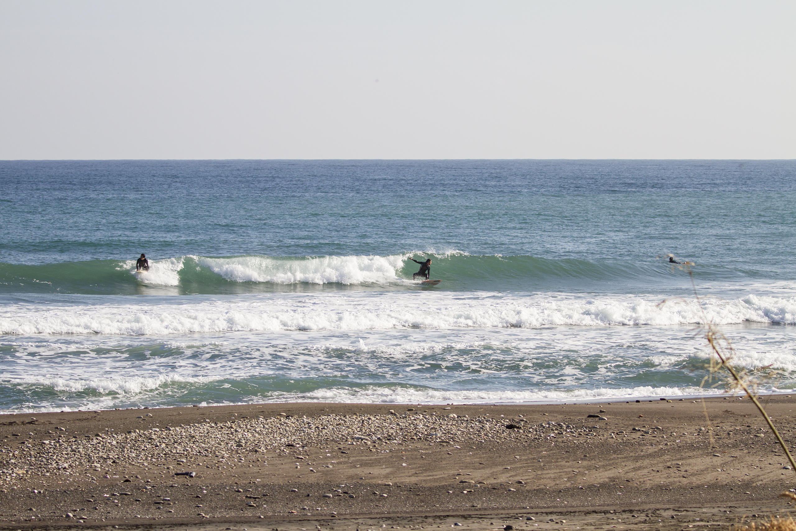 和田 SURF+(SURF PLUS)-