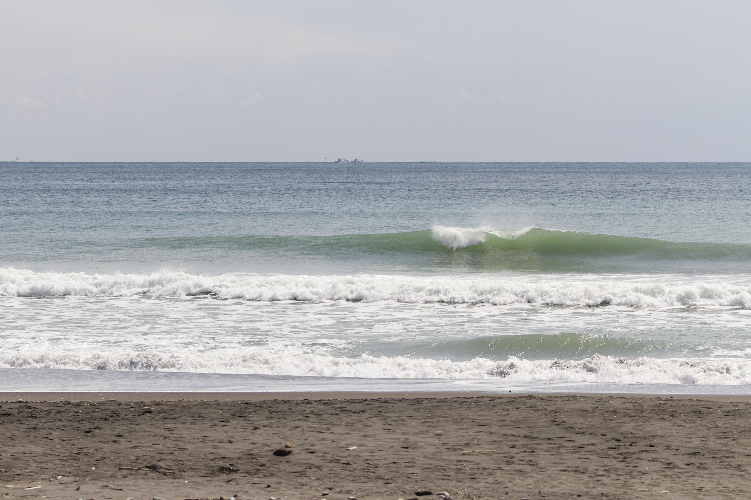 和田 SURF+(SURF PLUS)-