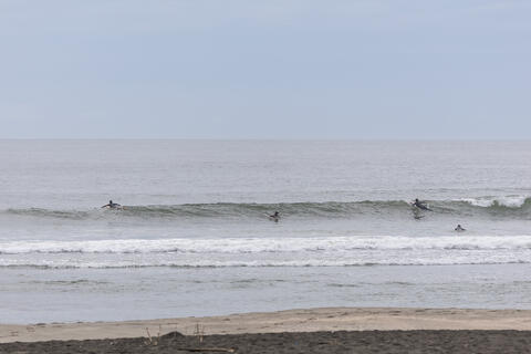 North Chiba