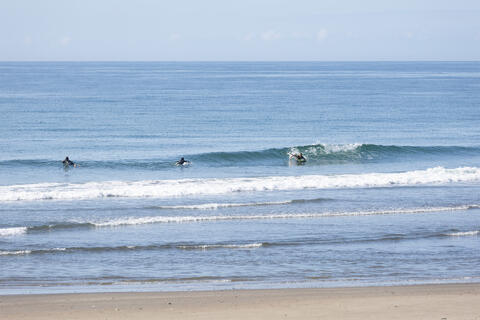 WeekdaySurfReport