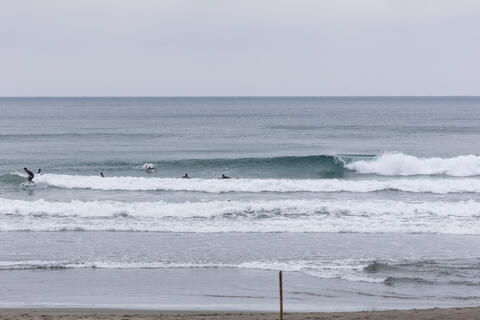 WeekdaySurfReport