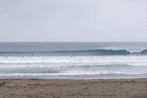 WeekdaySurfReport