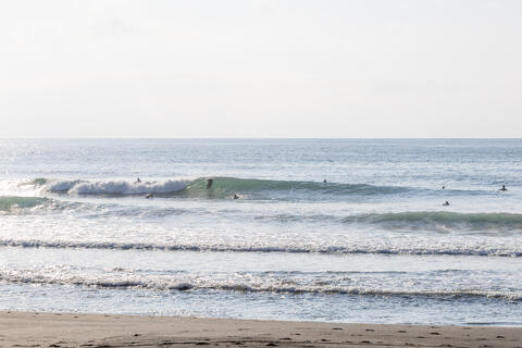 WeekdaySurfReport