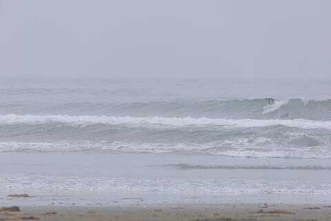 WeekdaySurfReport