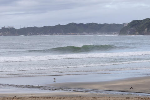 WeekdaySurfReport