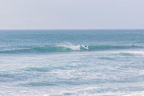 WeekdaySurfReport