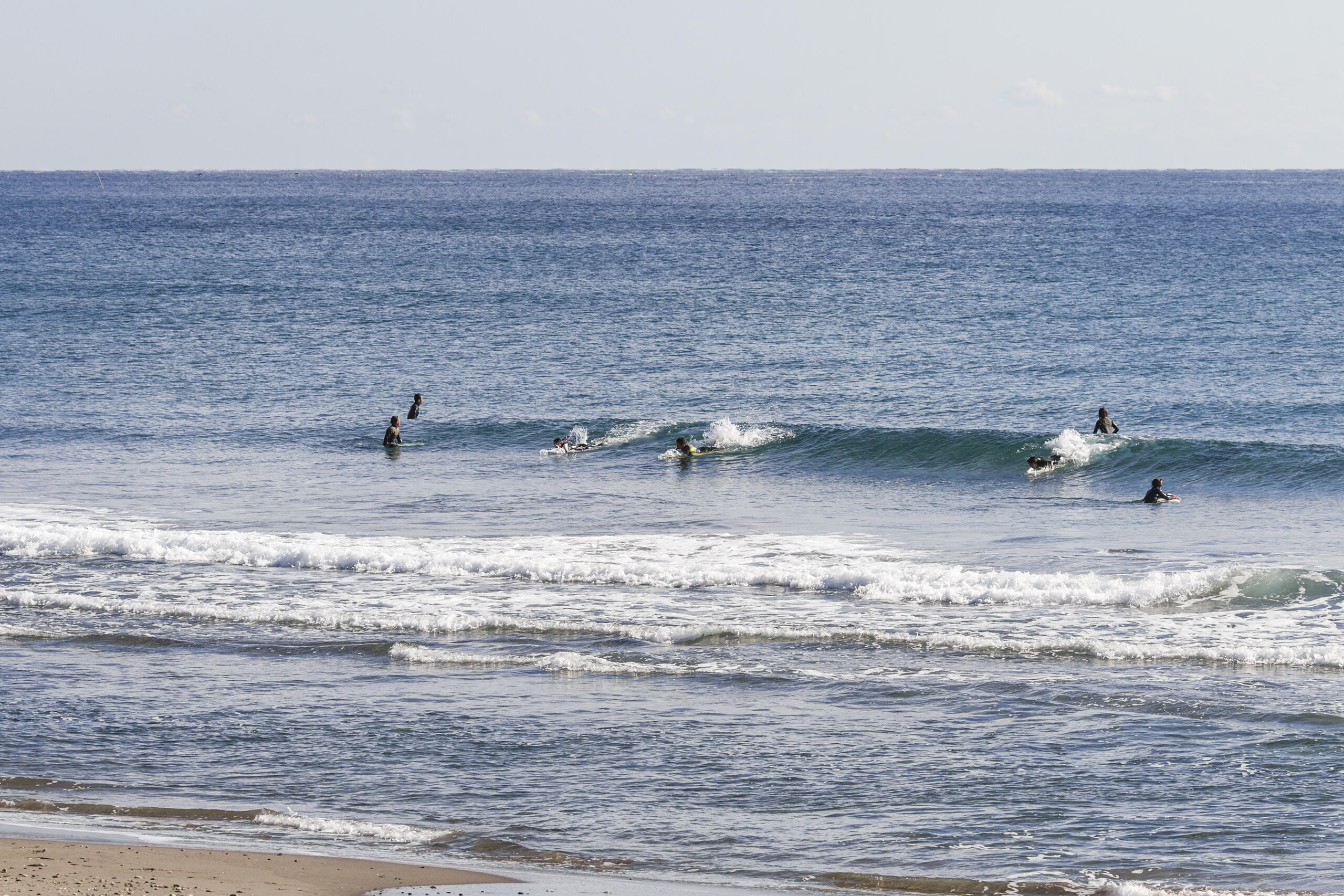 和田 サーフィン・波情報 SURF+(SURF PLUS)-