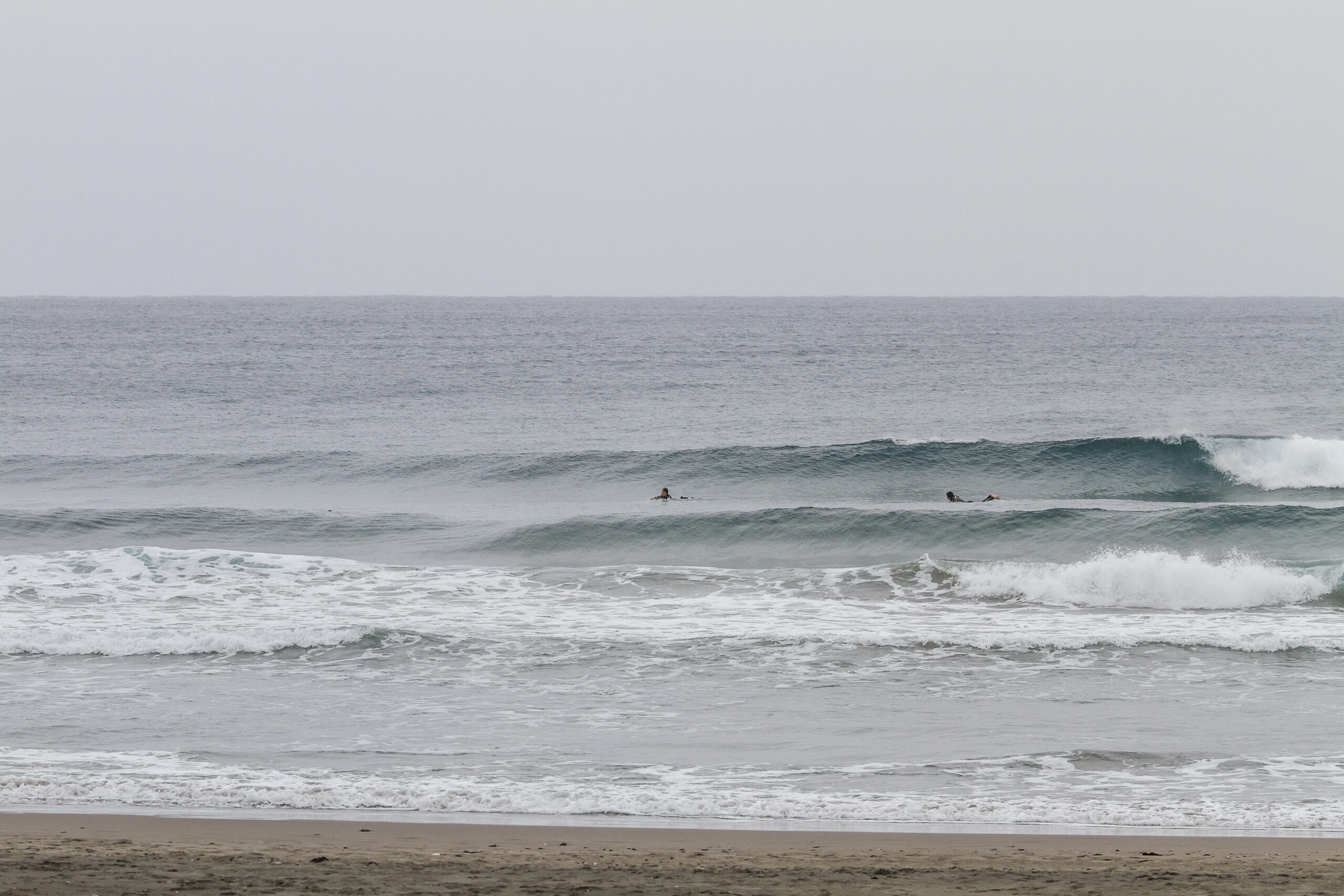 和田 サーフィン・波情報 weekdaySurfReport SURF+(SURF PLUS)