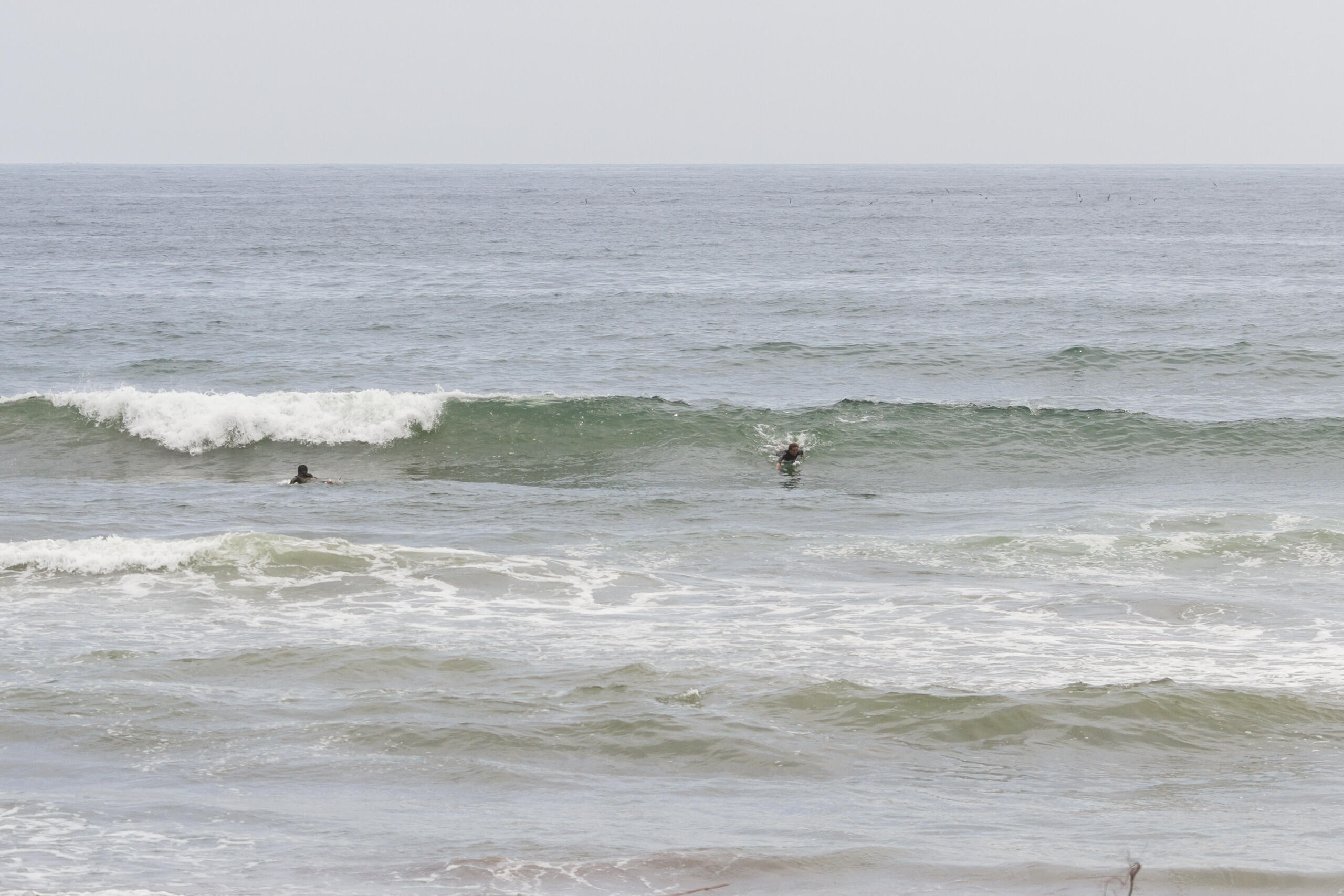 鴨川 波のある海の風景、サーフィン・波情報 WeekdaySurfReport SURF+(SURF PLUS)