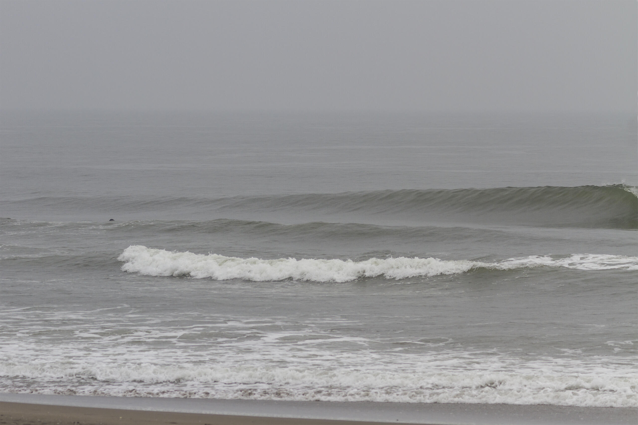 志田 サーフィン・波情報/Surf Report WeekdaySurfReport SURF+