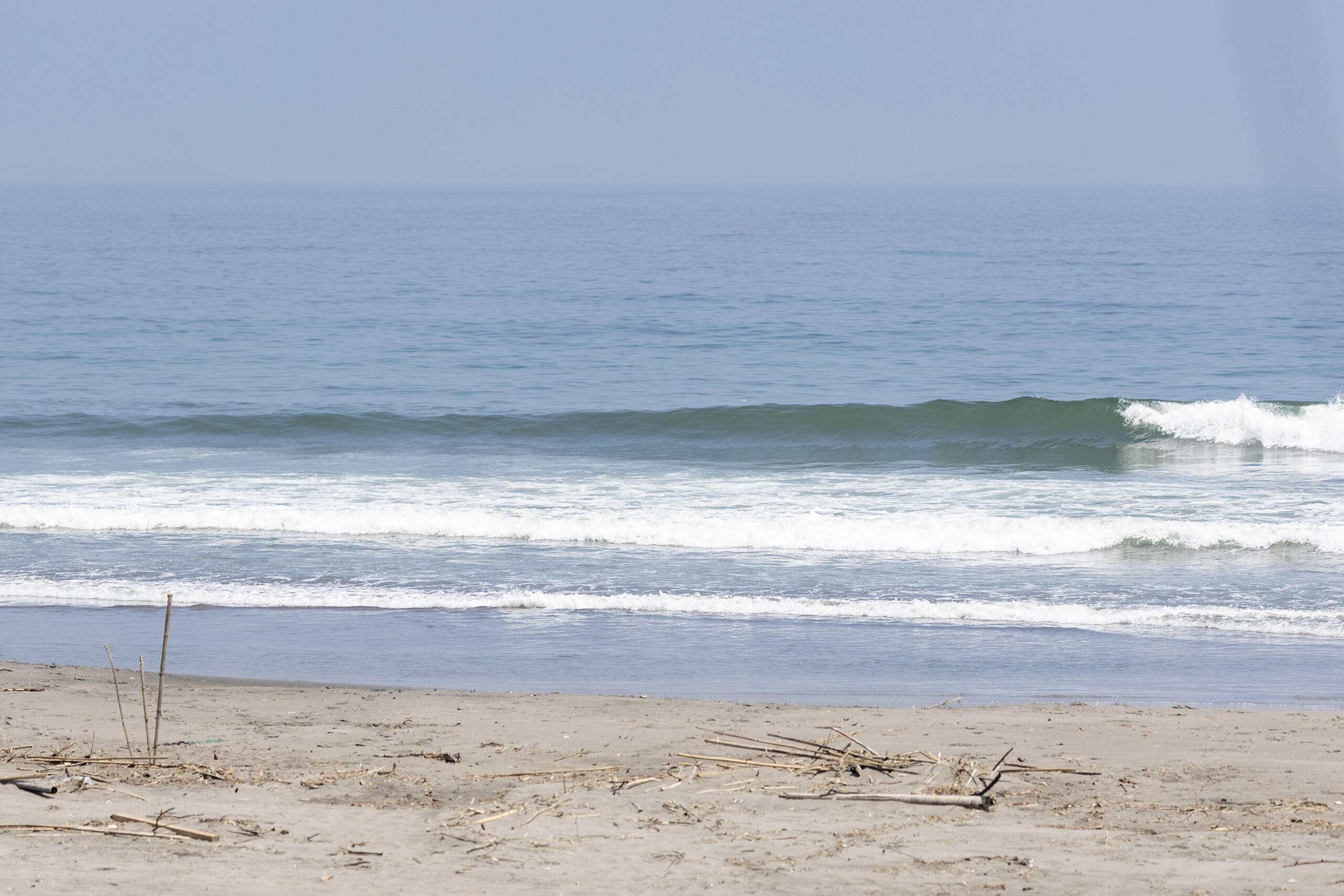 和田 波のある海の風景、サーフィン・波情報 WeekdaySurfReport SURF+(SURF PLUS)