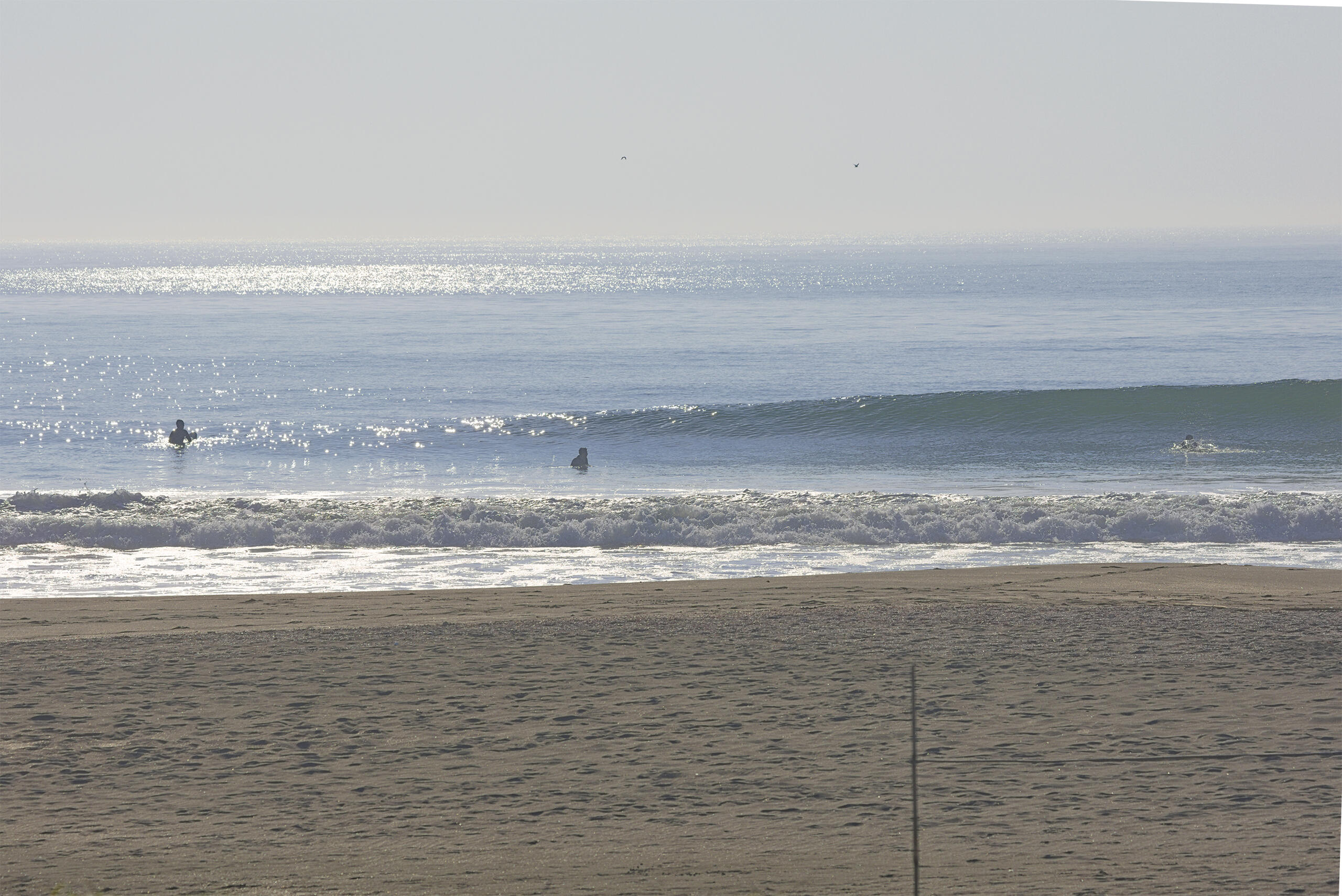 志田 波のある海の風景、サーフィン・波情報 WeekdaySurfReport SURF+(SURF PLUS)