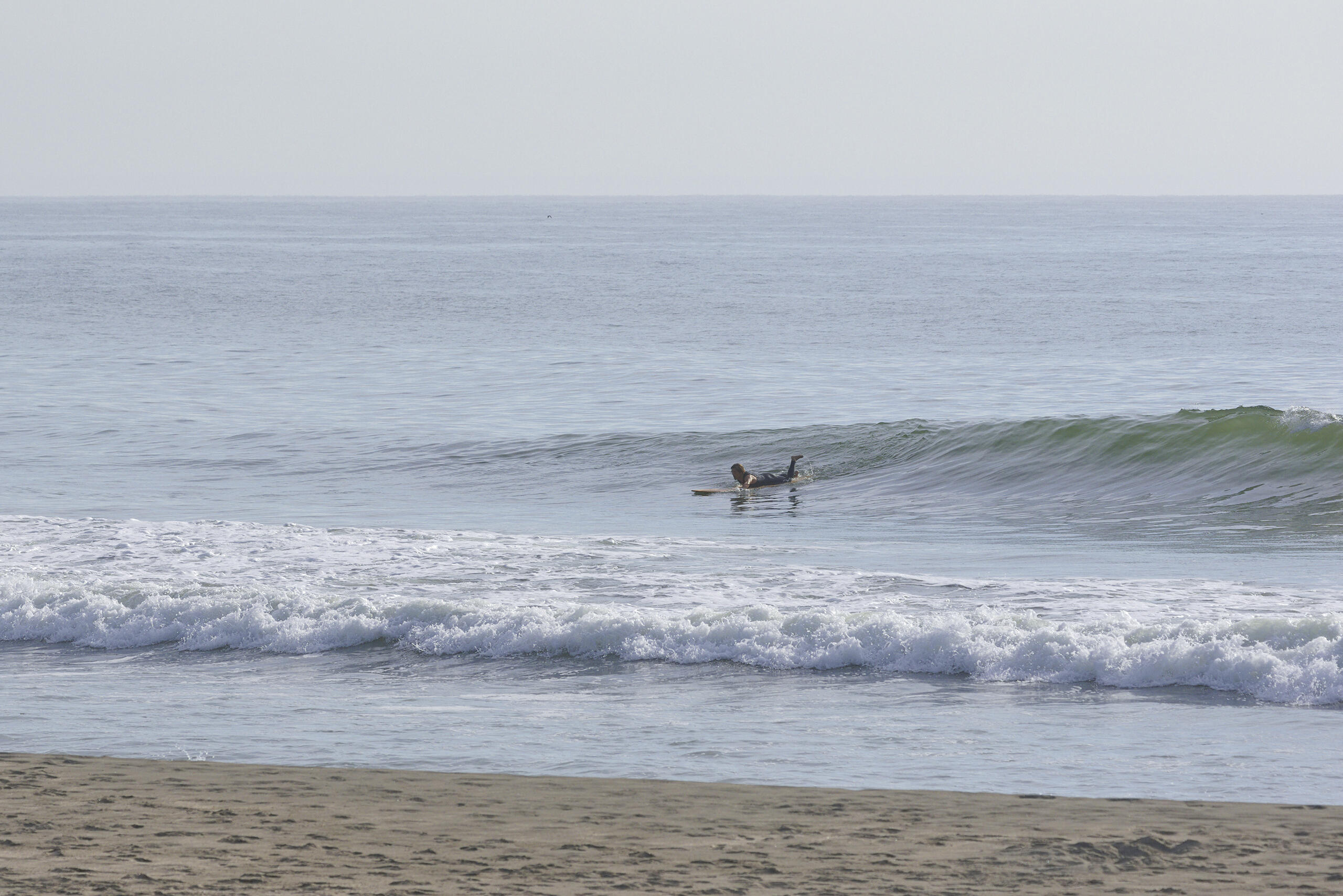 weekday surf report
