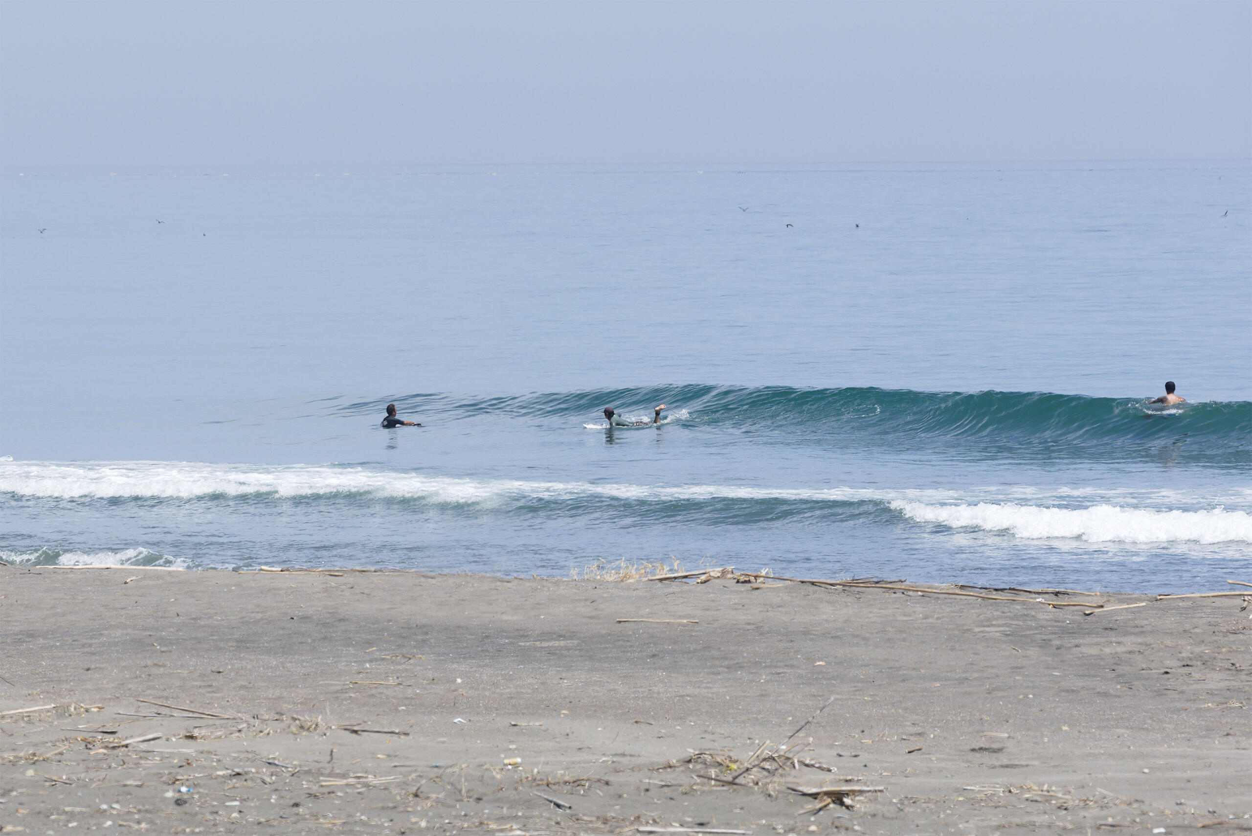 和田 波のある海の風景、サーフィン・波情報 WeekdaySurfReport SURF+(SURF PLUS)