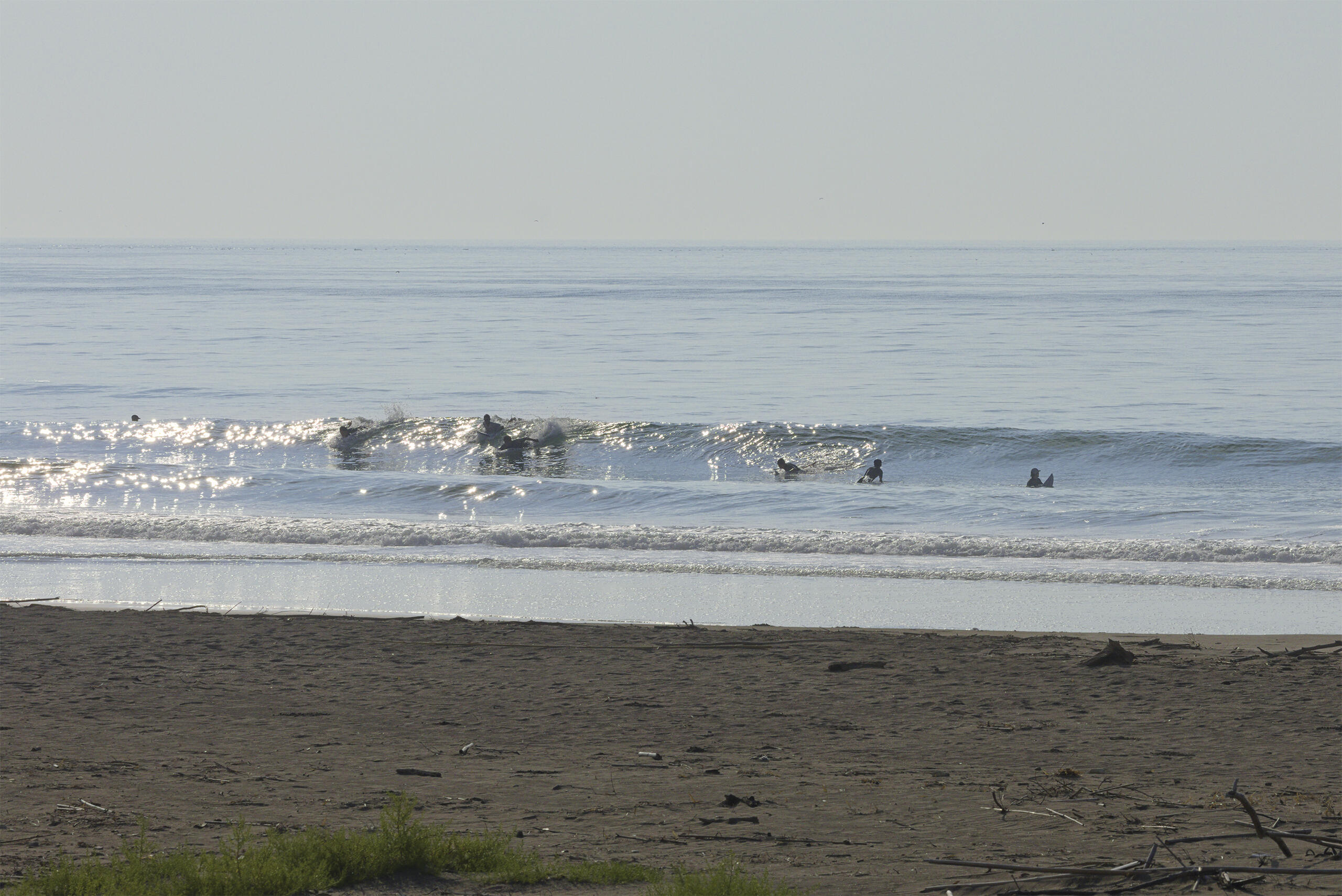 和田 波のある海の風景、サーフィン・波情報 WeekdaySurfReport SURF+(SURF PLUS)