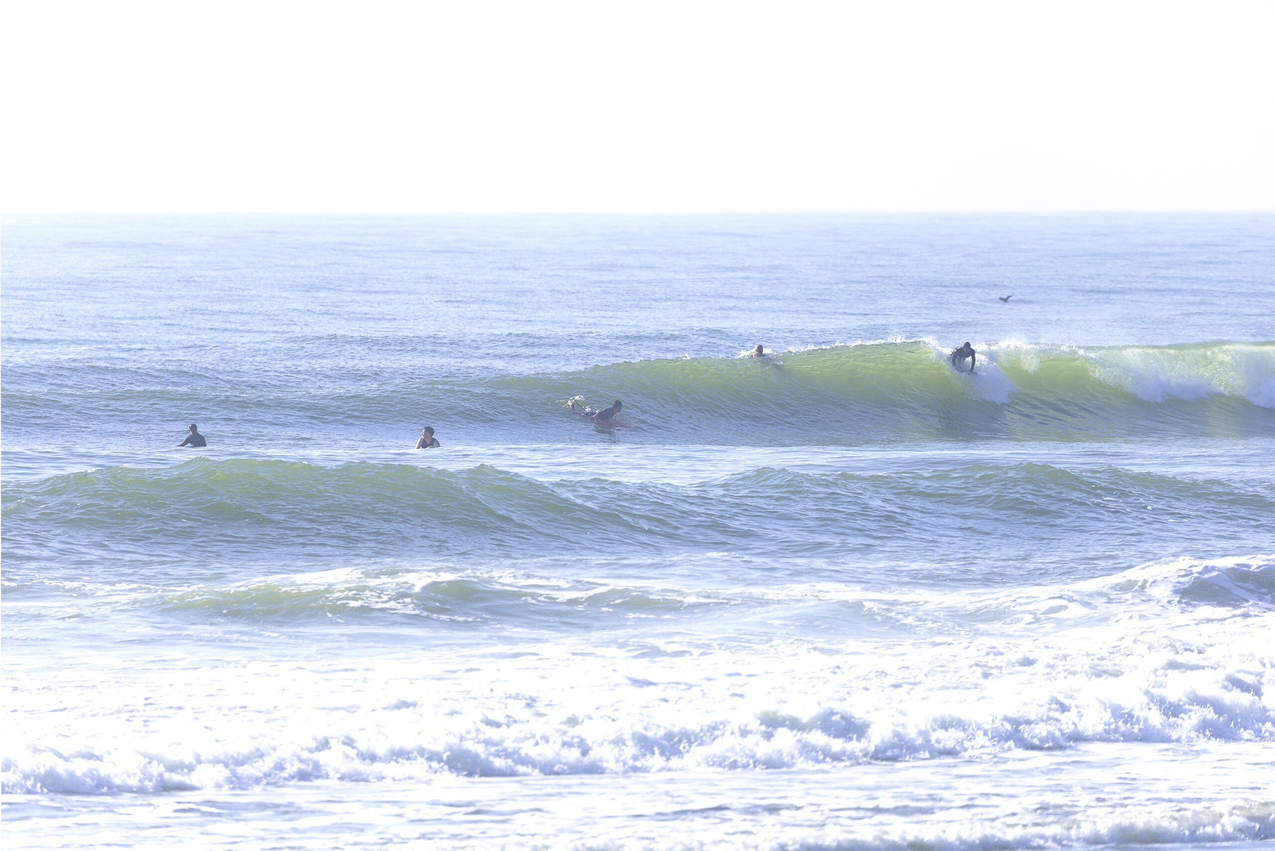 一宮 波のある海の風景、サーフィン・波情報 WeekdaySurfReport SURF+(SURF PLUS)