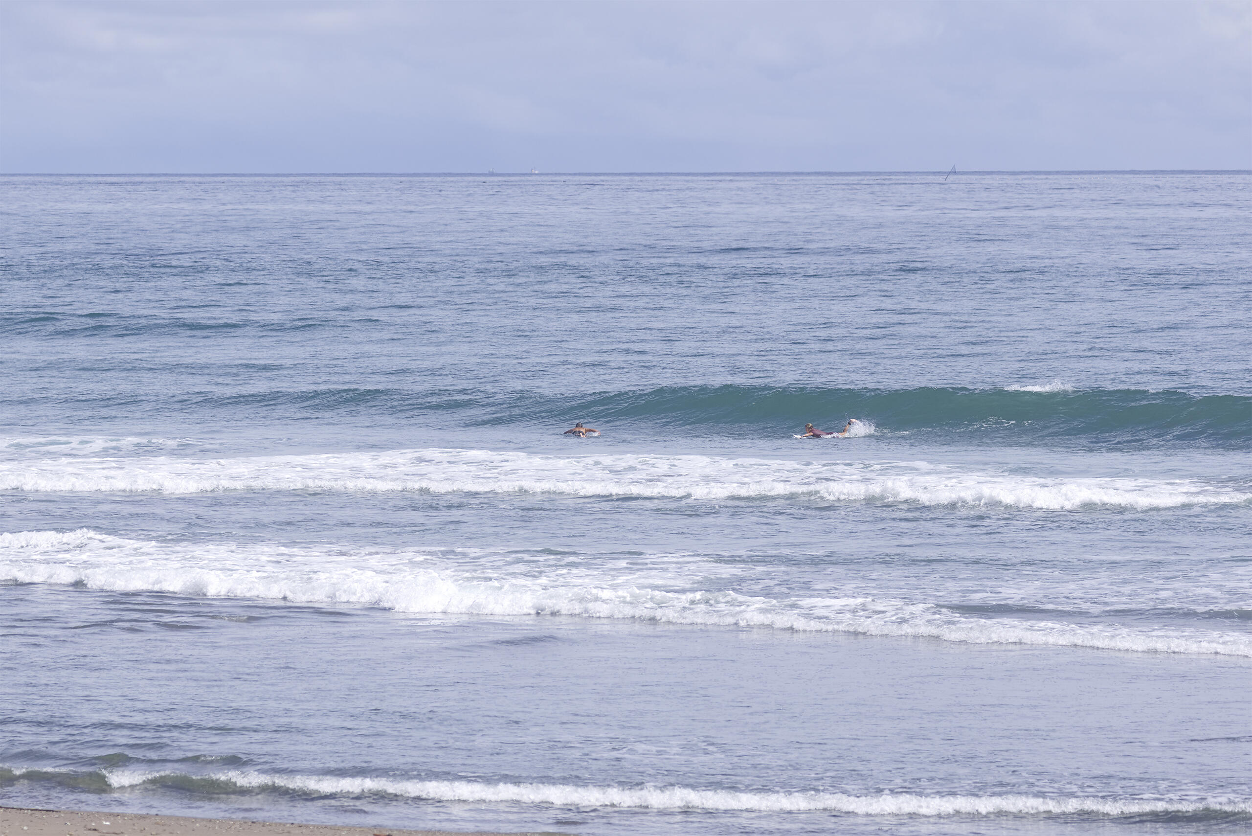 和田 波のある海の風景、サーフィン・波情報 WeekdaySurfReport SURF+(SURF PLUS)