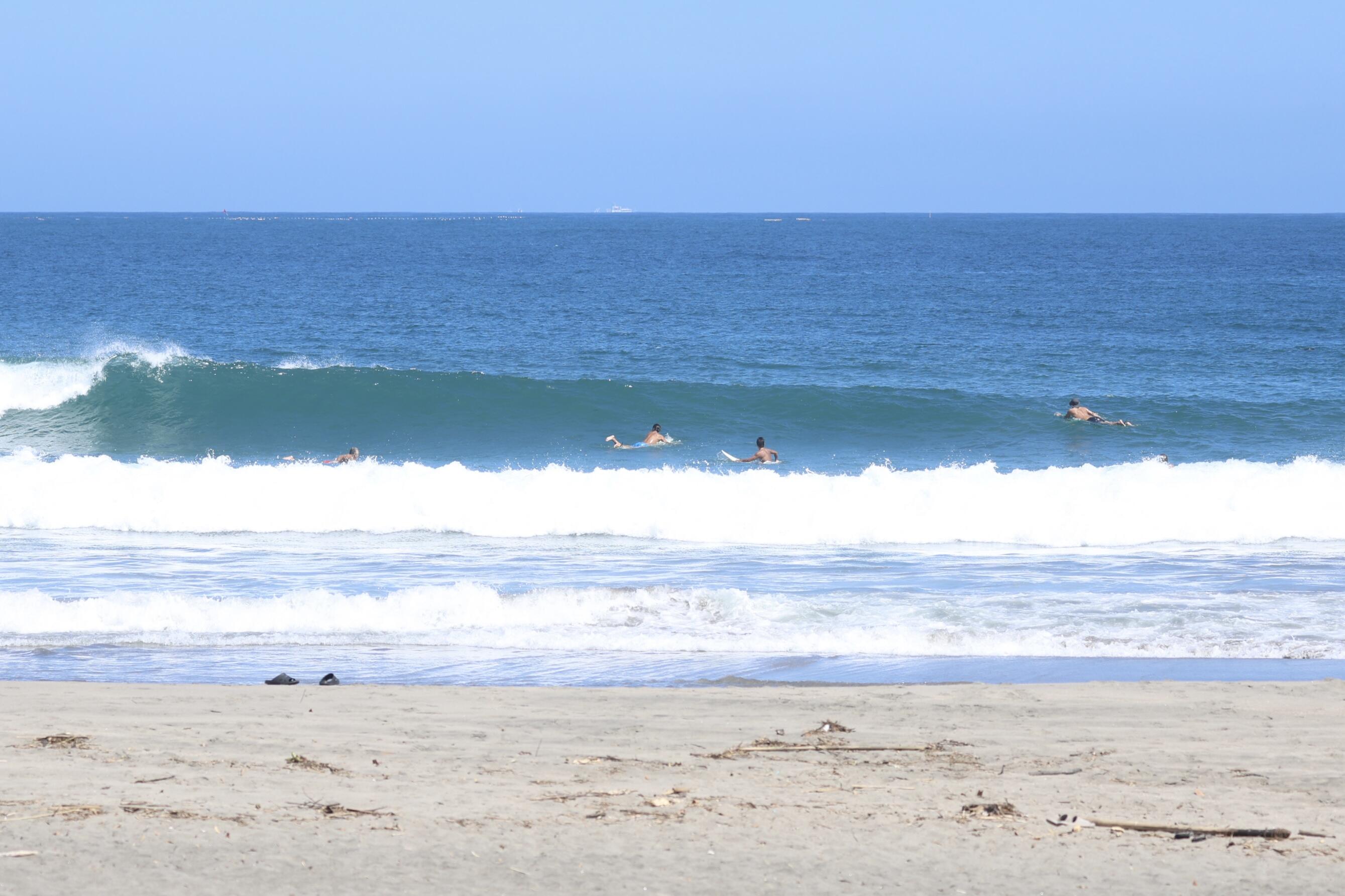 千倉 サーフィン・波情報/Surf Report WeekdaySurfReport SURF+