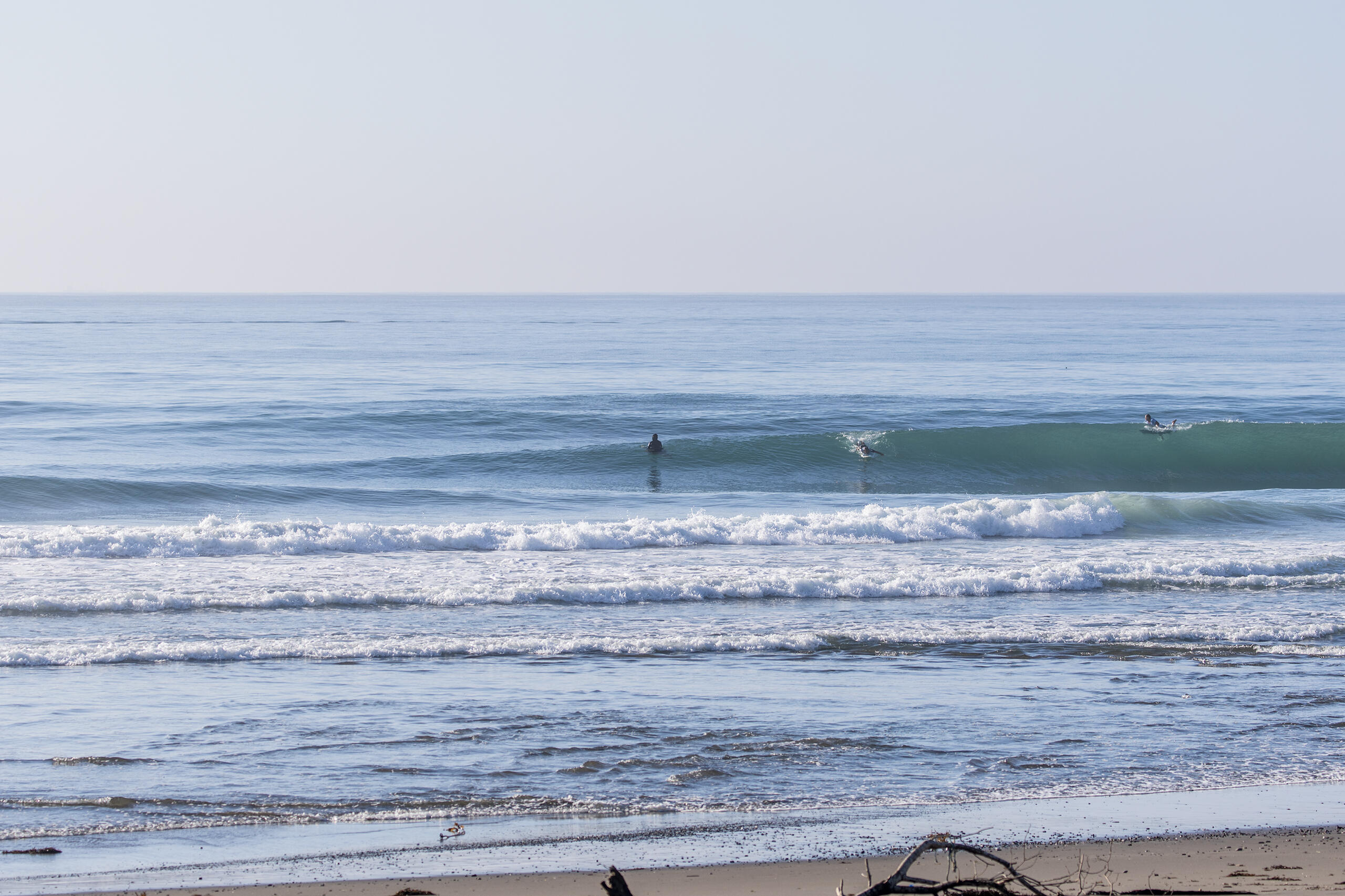 和田 サーフィン・波情報/Surf Report WeekdaySurfReport SURF+