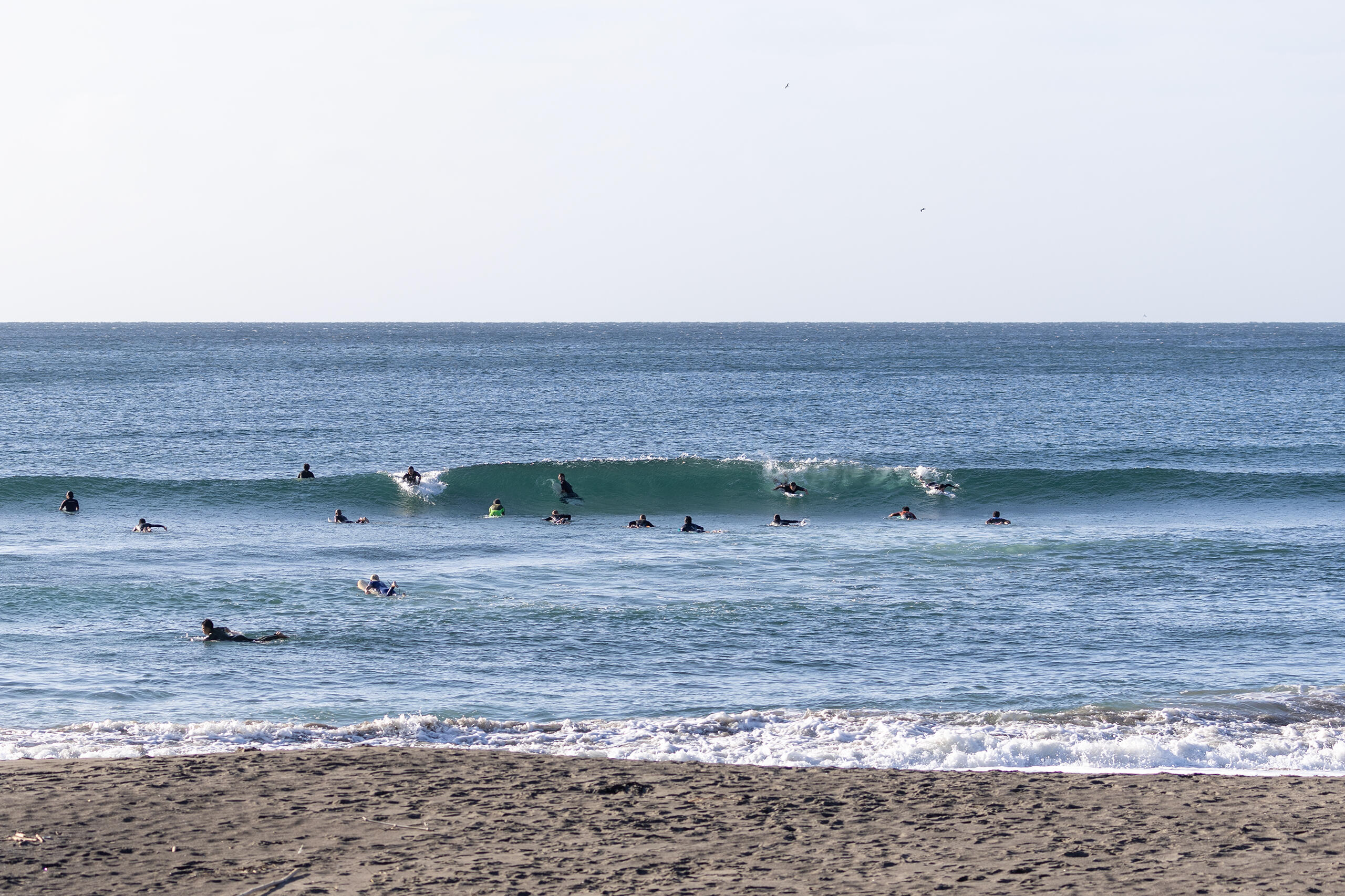 鴨川 波のある海の風景、サーフィン・波情報 WeekdaySurfReport SURF+(SURF PLUS)