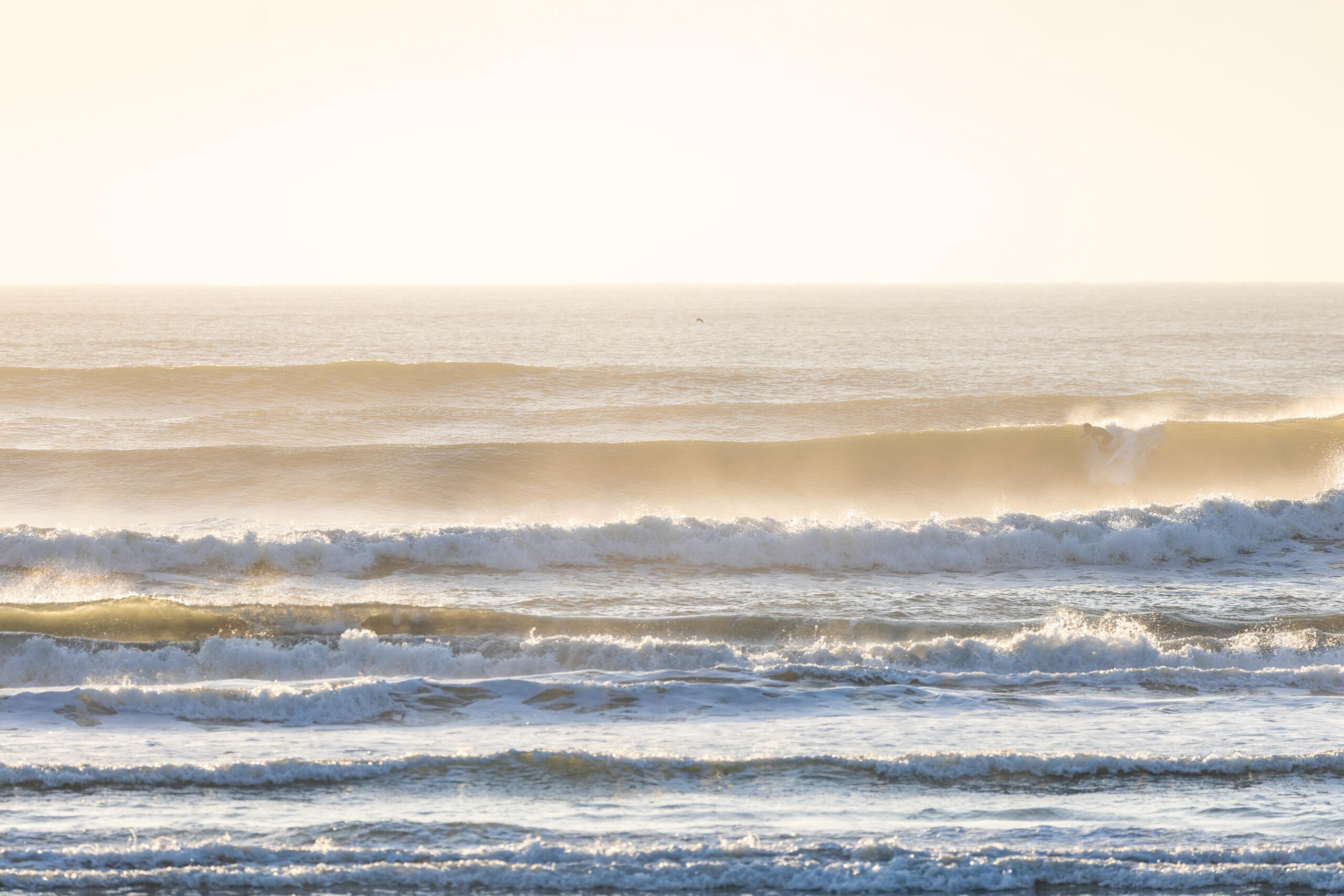 豊海 波のある海の風景、サーフィン・波情報 WeekdaySurfReport SURF+(SURF PLUS)