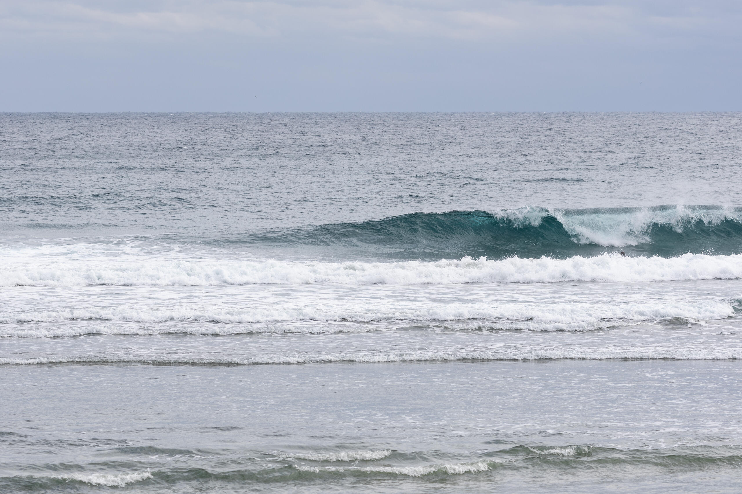 和田 サーフィン・波情報/Surf Report WeekdaySurfReport SURF+