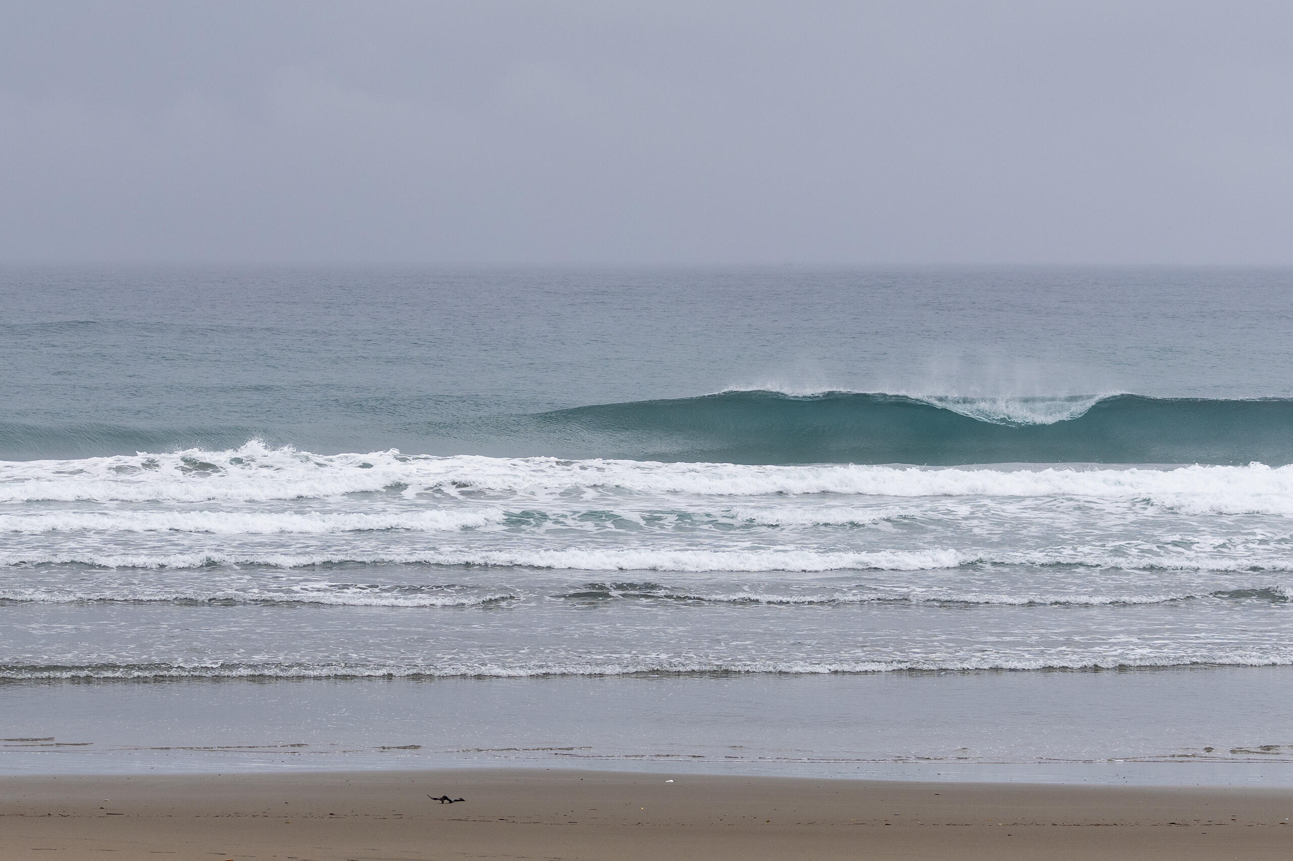 和田 サーフィン・波情報/Surf Report WeekdaySurfReport SURF+