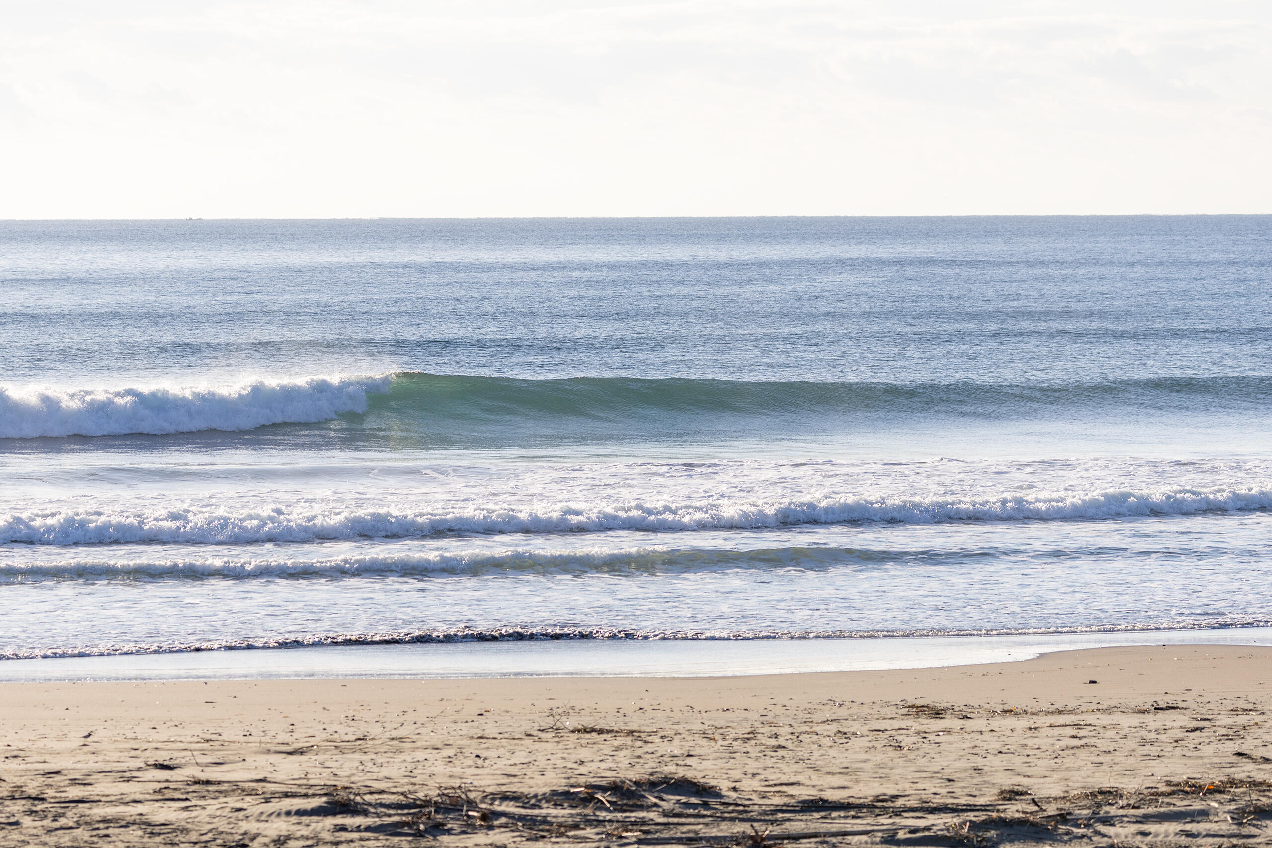 和田 サーフィン・波情報/Surf Report WeekdaySurfReport SURF+