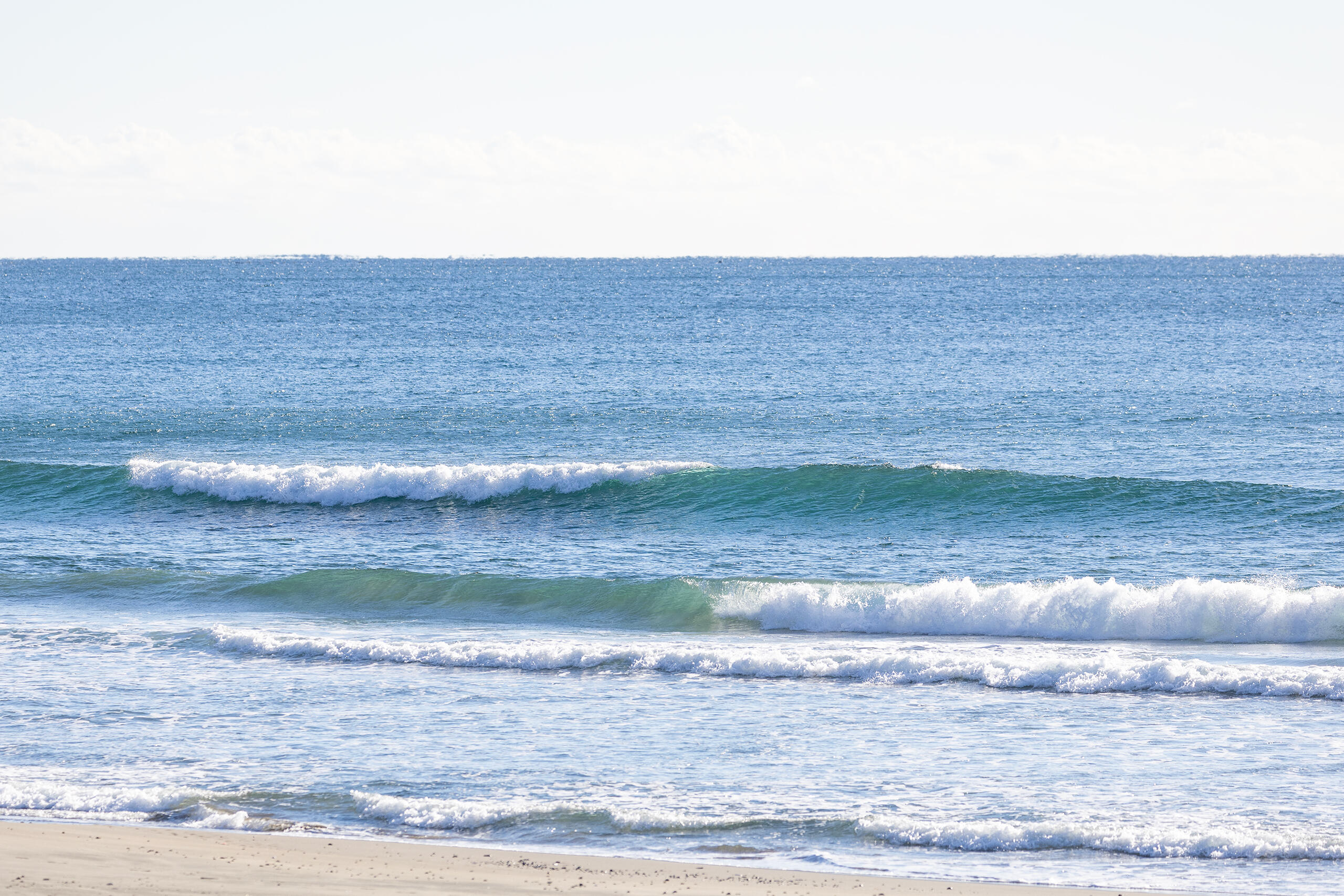 和田 サーフィン・波情報/Surf Report WeekdaySurfReport SURF+