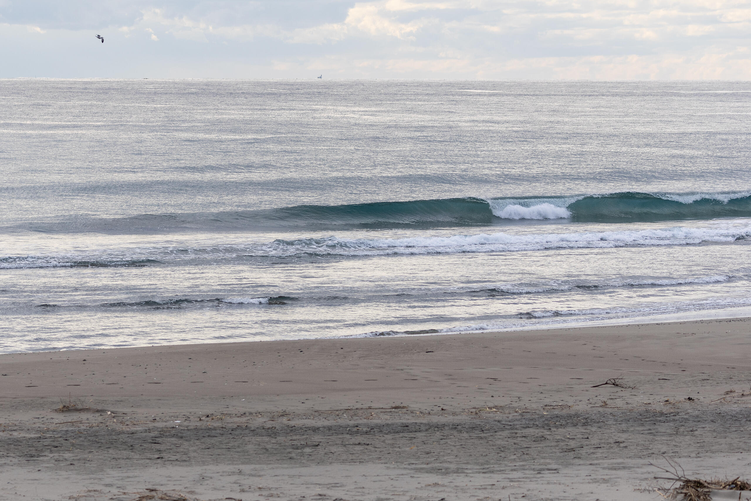 和田 サーフィン・波情報/Surf Report WeekdaySurfReport SURF+