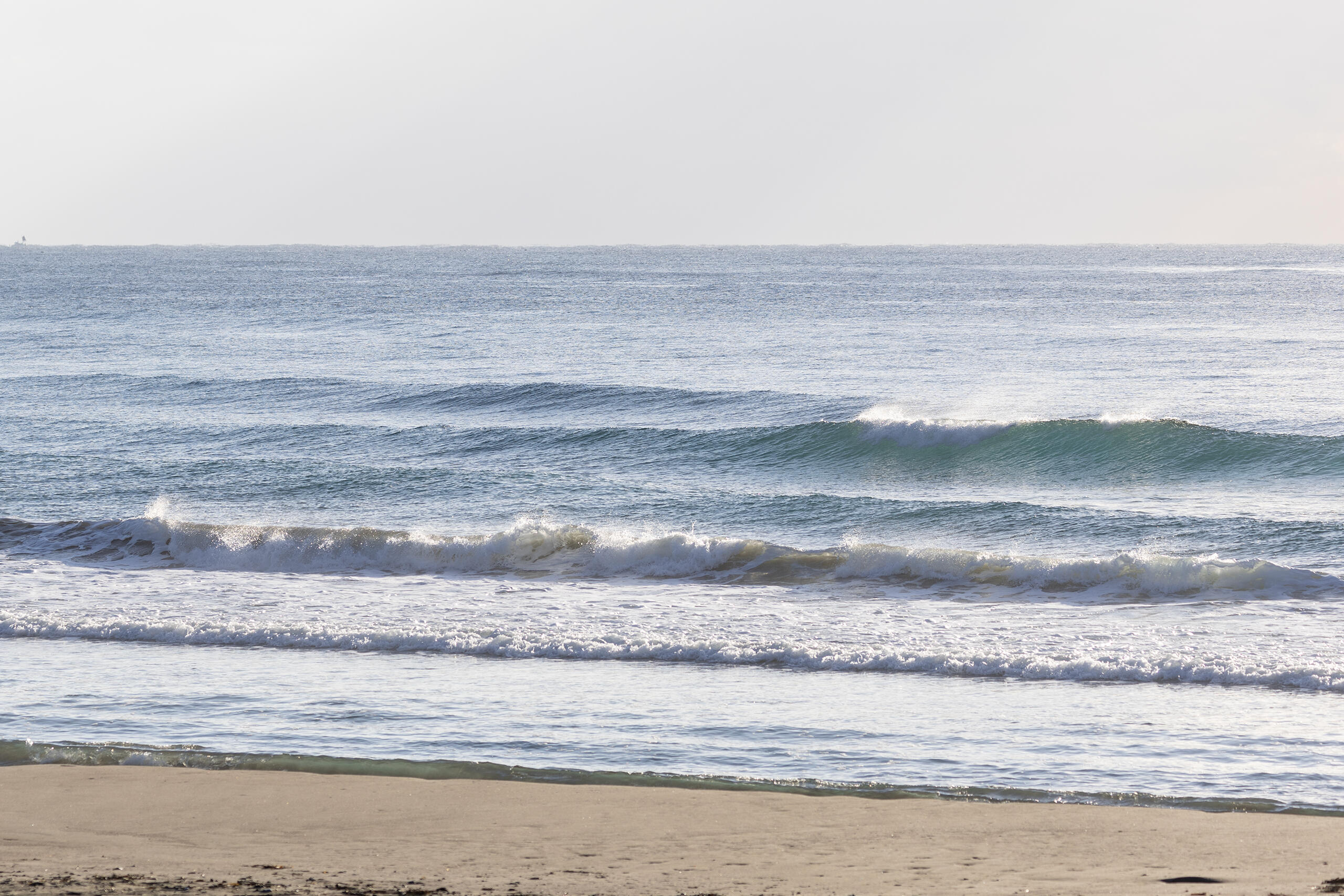 和田 サーフィン・波情報/Surf Report WeekdaySurfReport SURF+