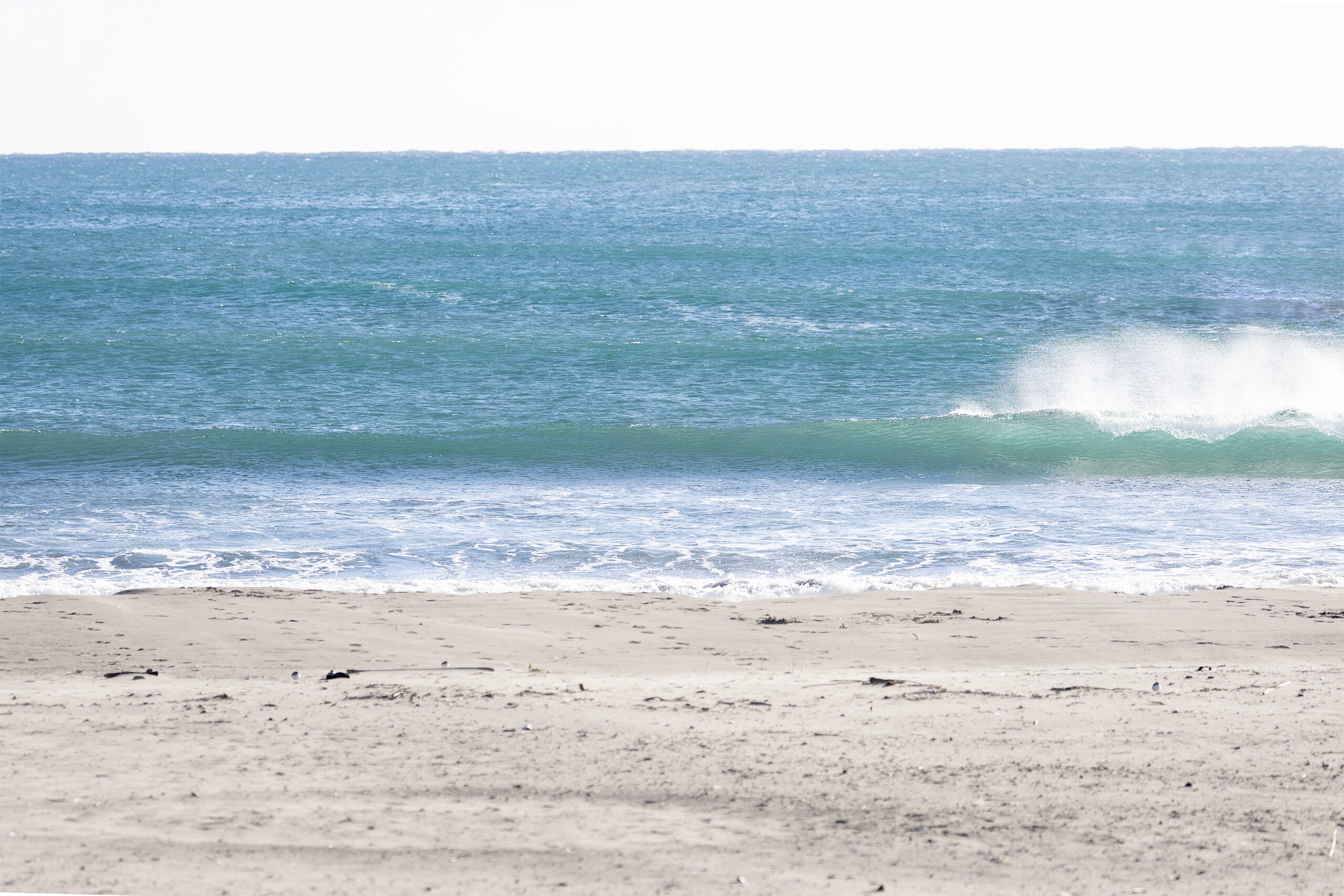 鴨川 サーフィン・波情報/Surf Report WeekdaySurfReport SURF+