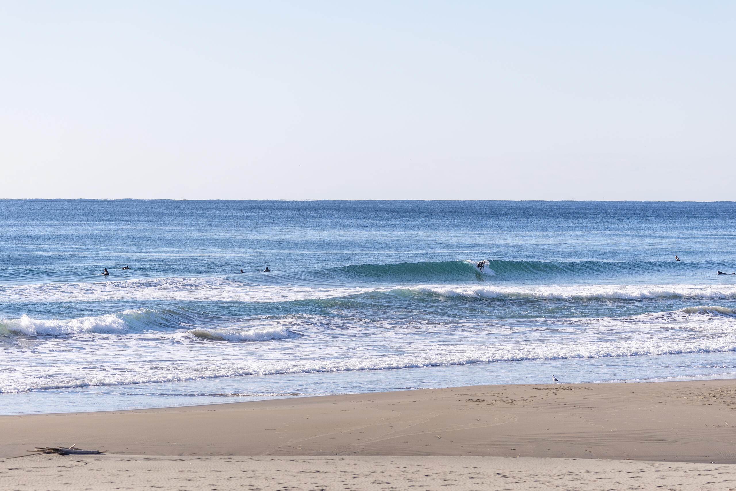 和田 サーフィン・波情報/Surf Report WeekdaySurfReport SURF+