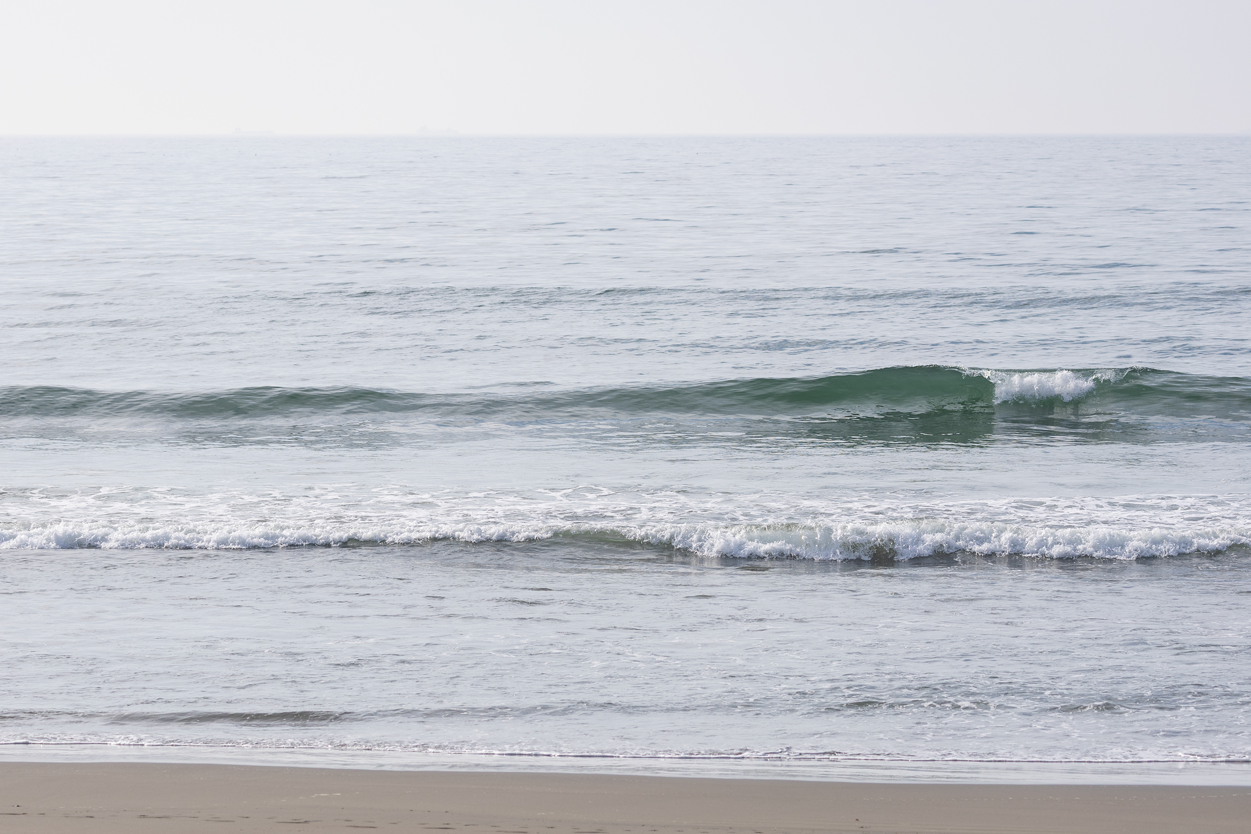 weekday surf report