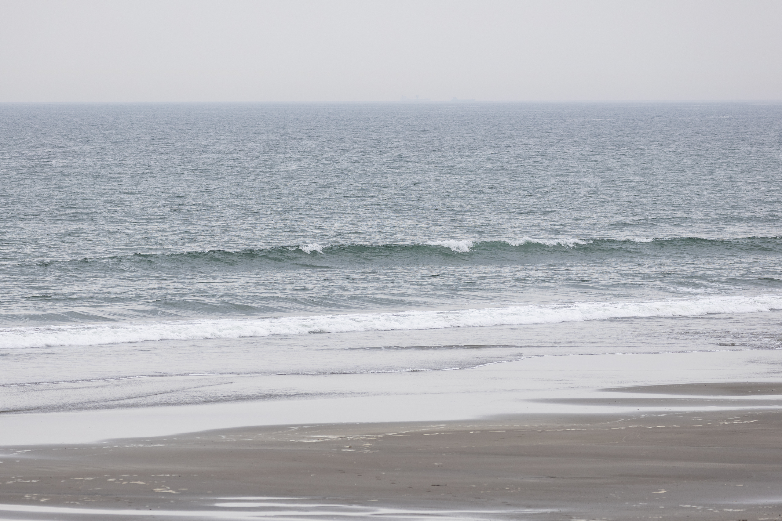 和田 サーフィン・波情報/Surf Report WeekdaySurfReport SURF+