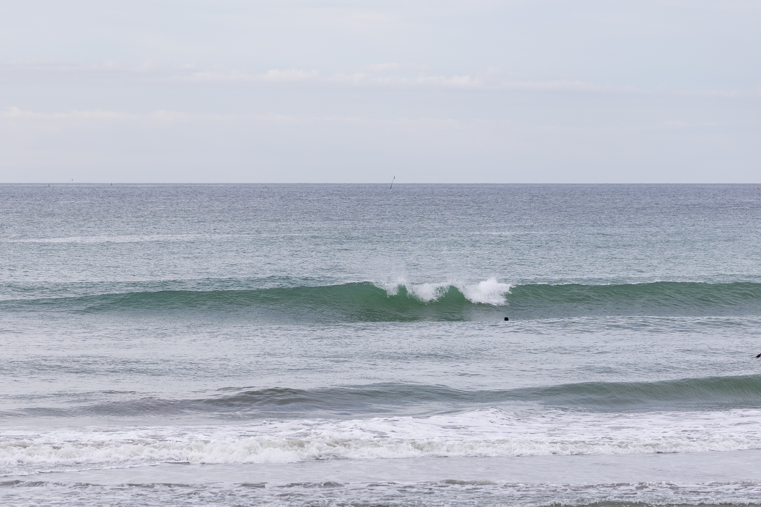 鴨川 サーフィン・波情報/Surf Report WeekdaySurfReport SURF+