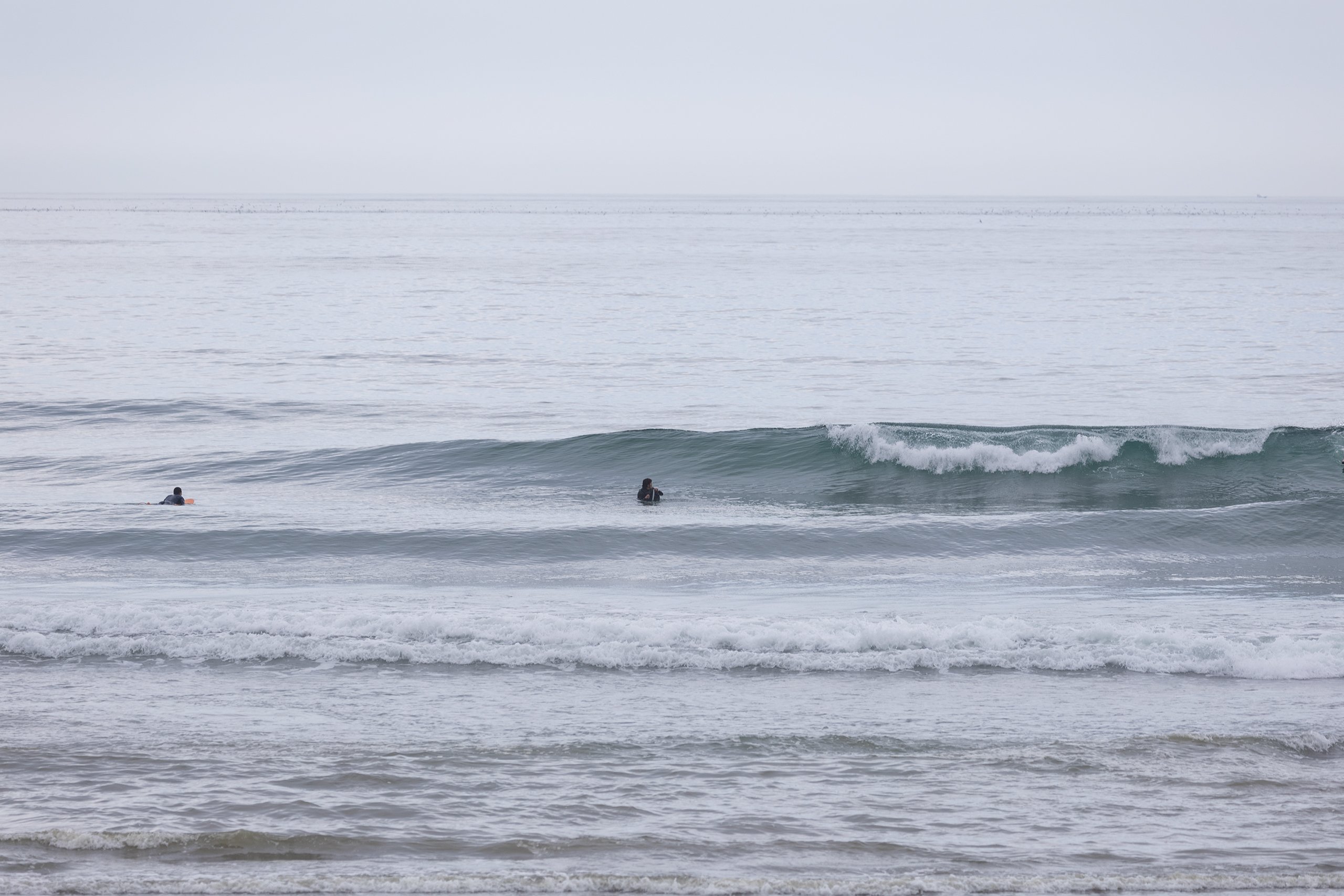 和田 サーフィン・波情報/Surf Report WeekdaySurfReport SURF+