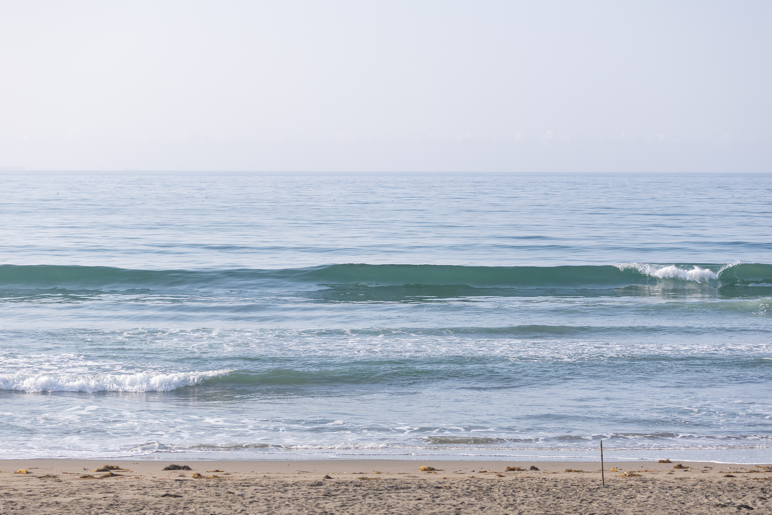 和田 サーフィン・波情報/Surf Report WeekdaySurfReport SURF+