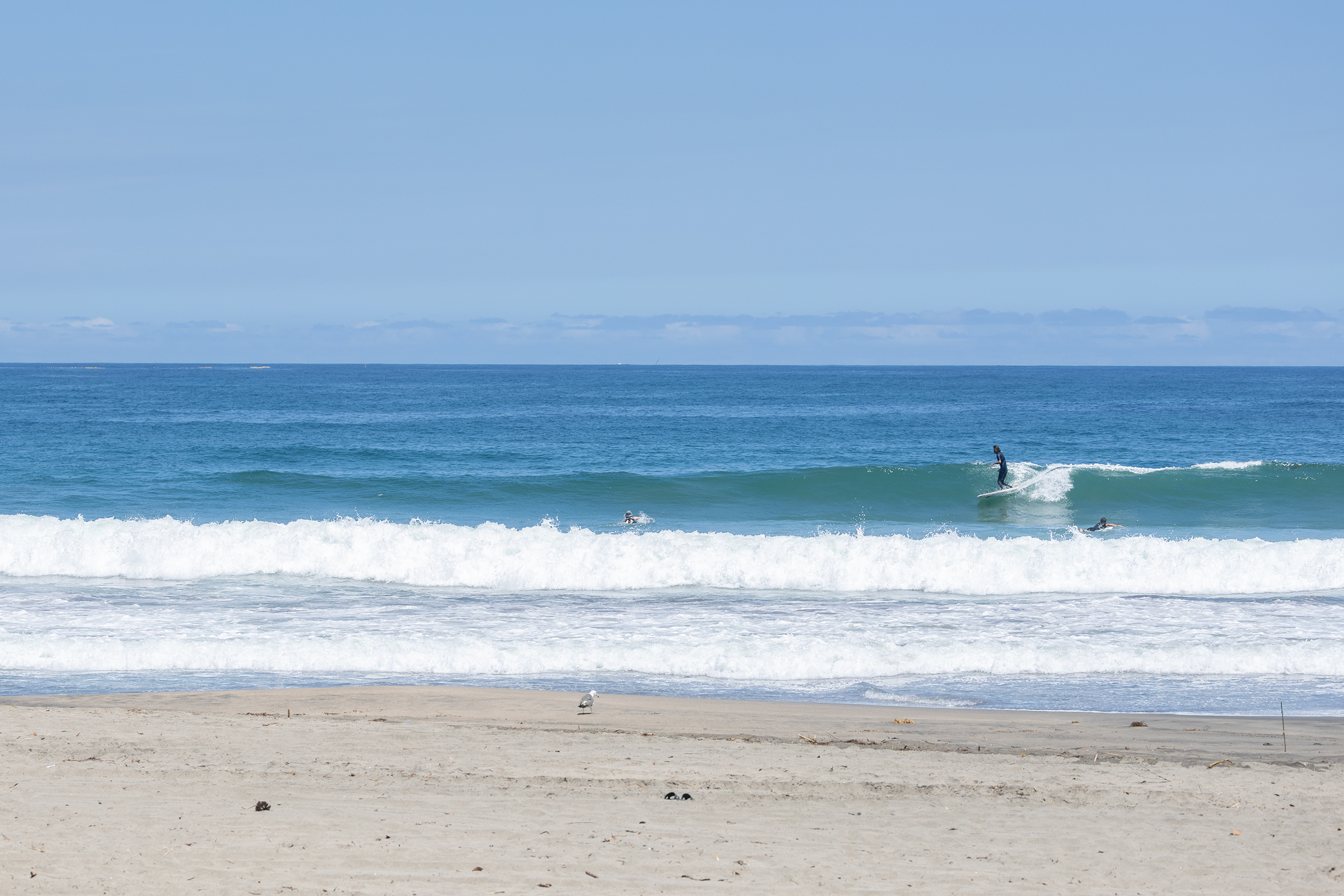 千倉 サーフィン・波情報/Surf Report WeekdaySurfReport SURF+