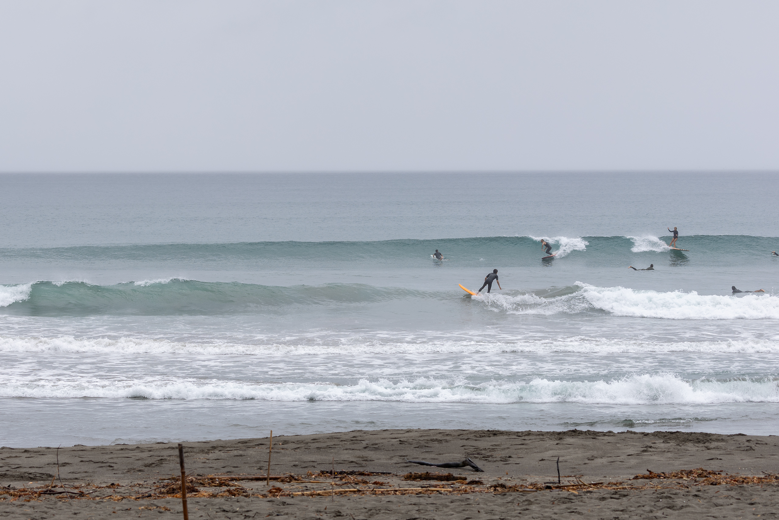鴨川 サーフィン・波情報/Surf Report WeekdaySurfReport SURF+