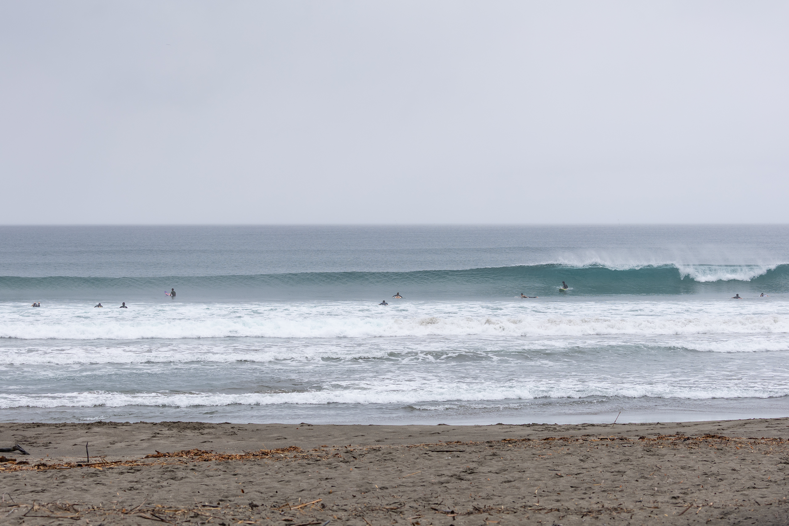 weekday surf report