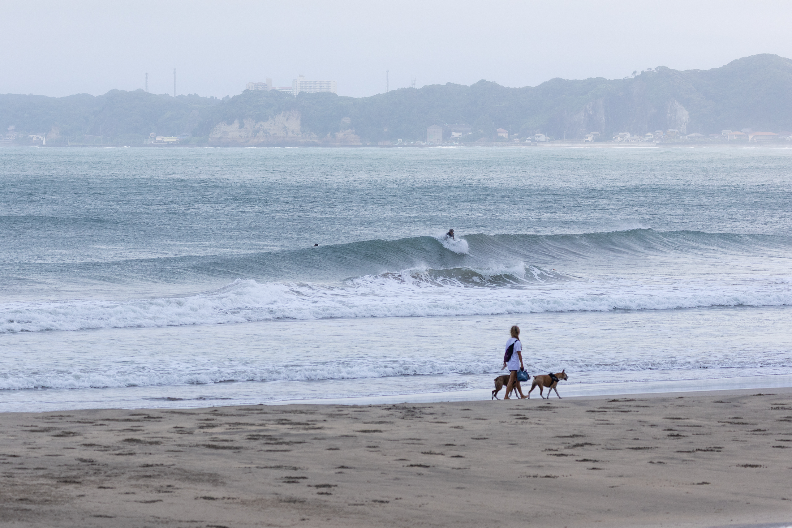 御宿 サーフィン・波情報/Surf Report WeekdaySurfReport SURF+