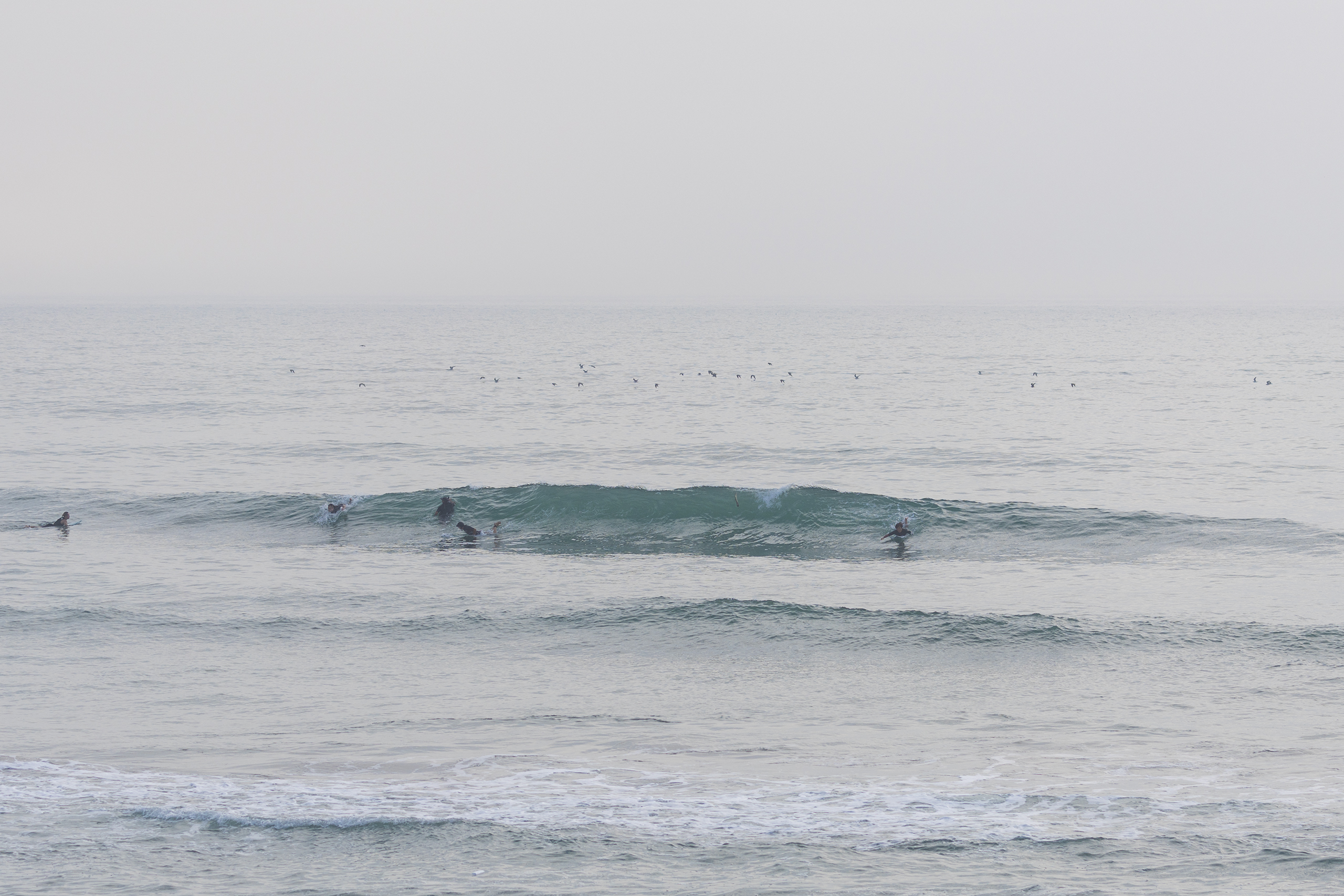 鹿島灘北部 サーフィン・波情報/Surf Report WeekdaySurfReport SURF+