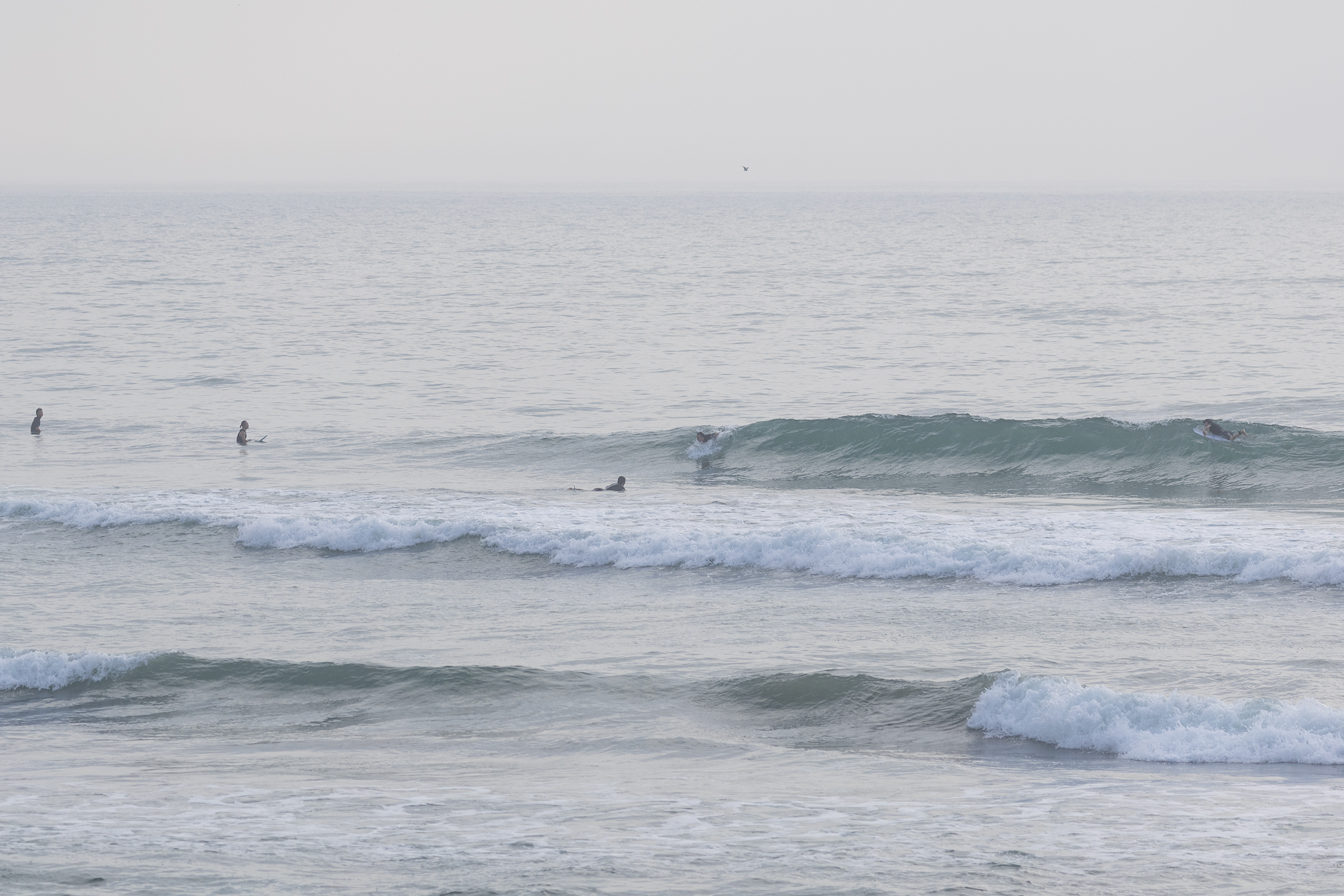 鹿島灘北部 サーフィン・波情報/Surf Report WeekdaySurfReport SURF+