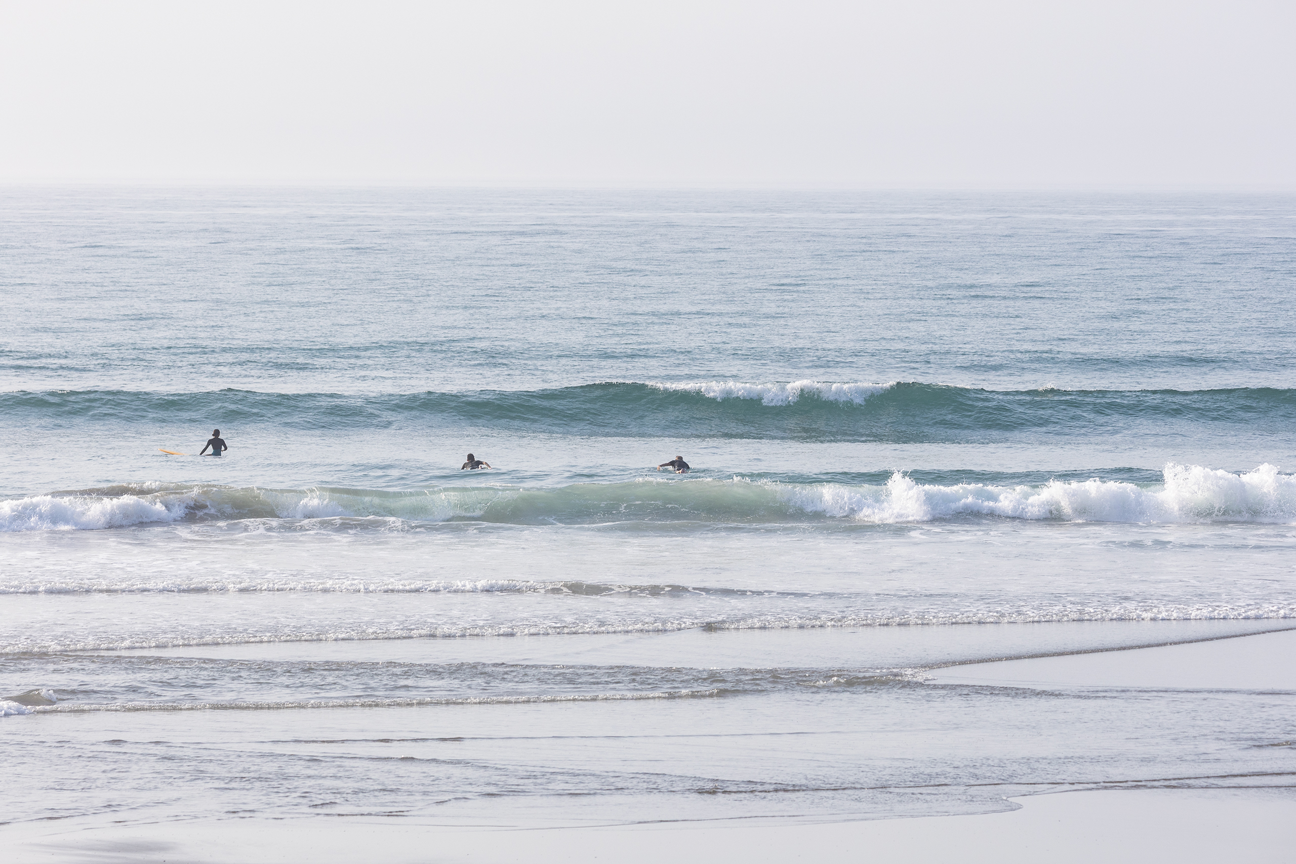 和田 サーフィン・波情報/Surf Report WeekdaySurfReport SURF+
