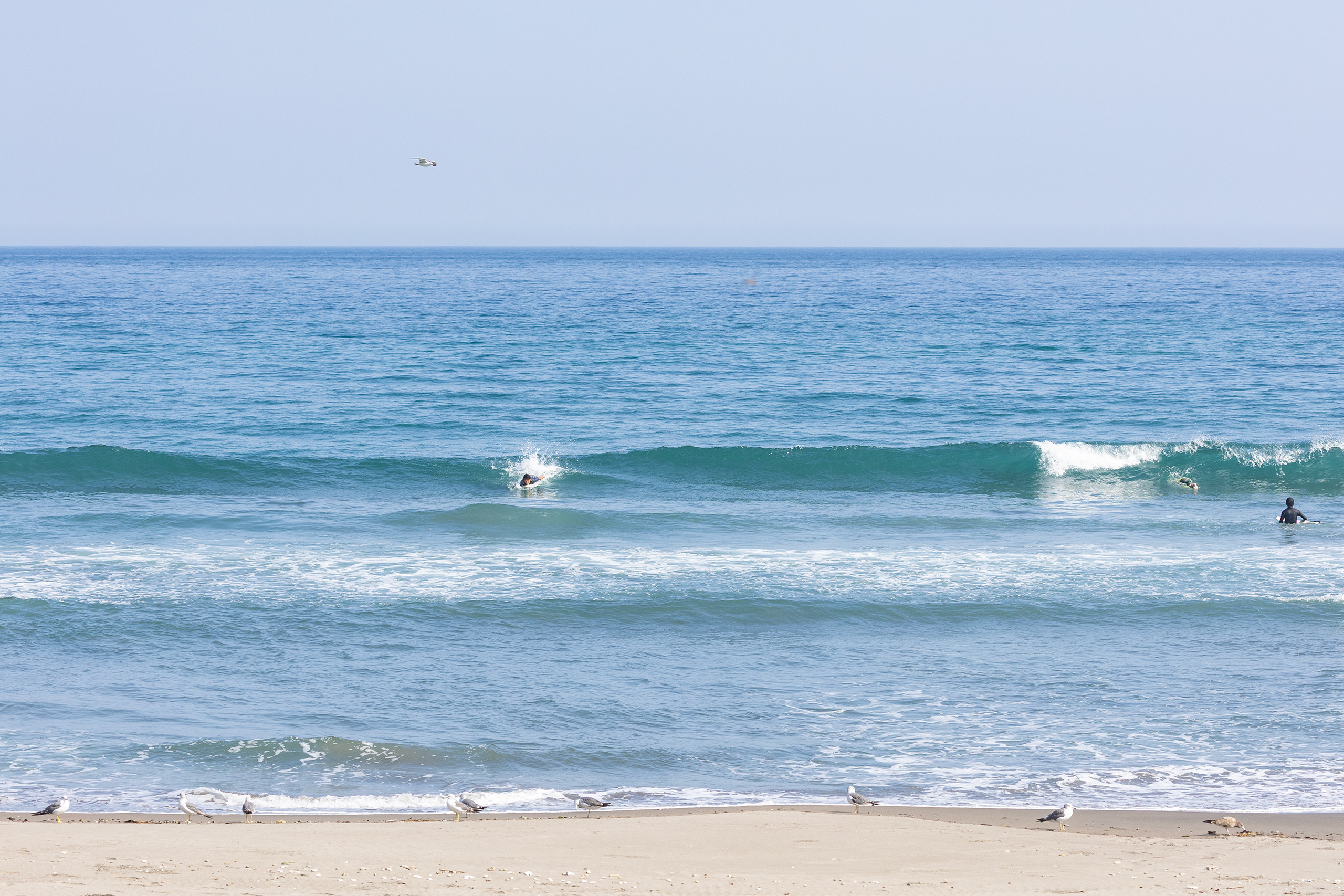 和田 サーフィン・波情報/Surf Report WeekdaySurfReport SURF+