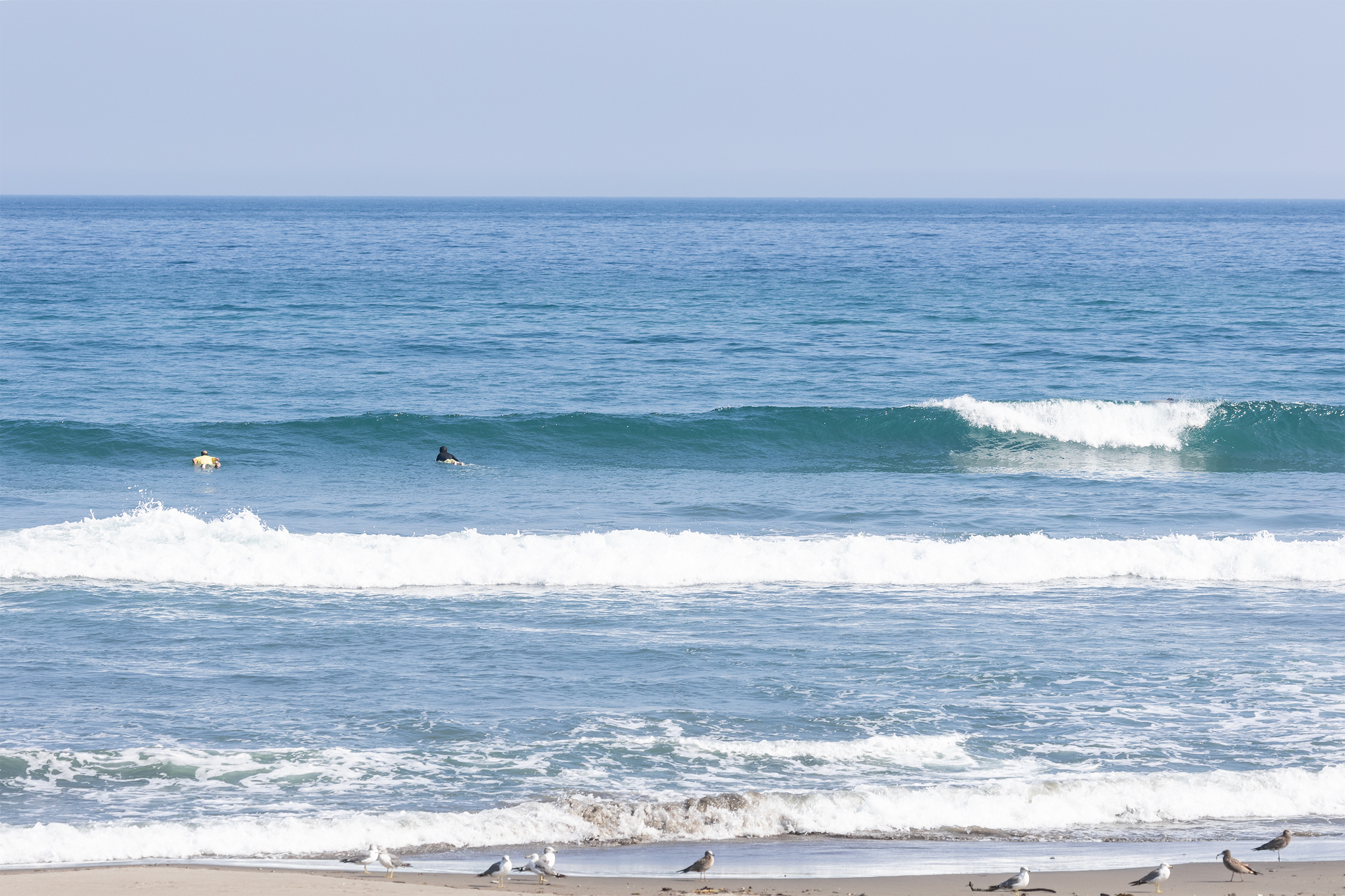 和田 サーフィン・波情報/Surf Report WeekdaySurfReport SURF+