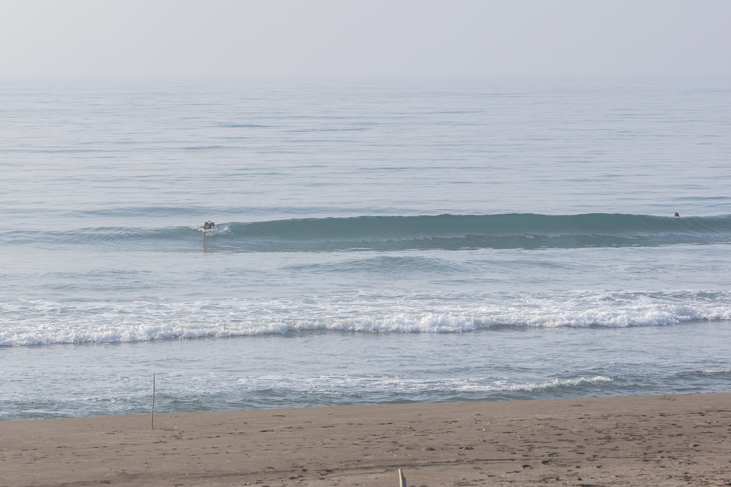和田 サーフィン・波情報/Surf Report WeekdaySurfReport SURF+