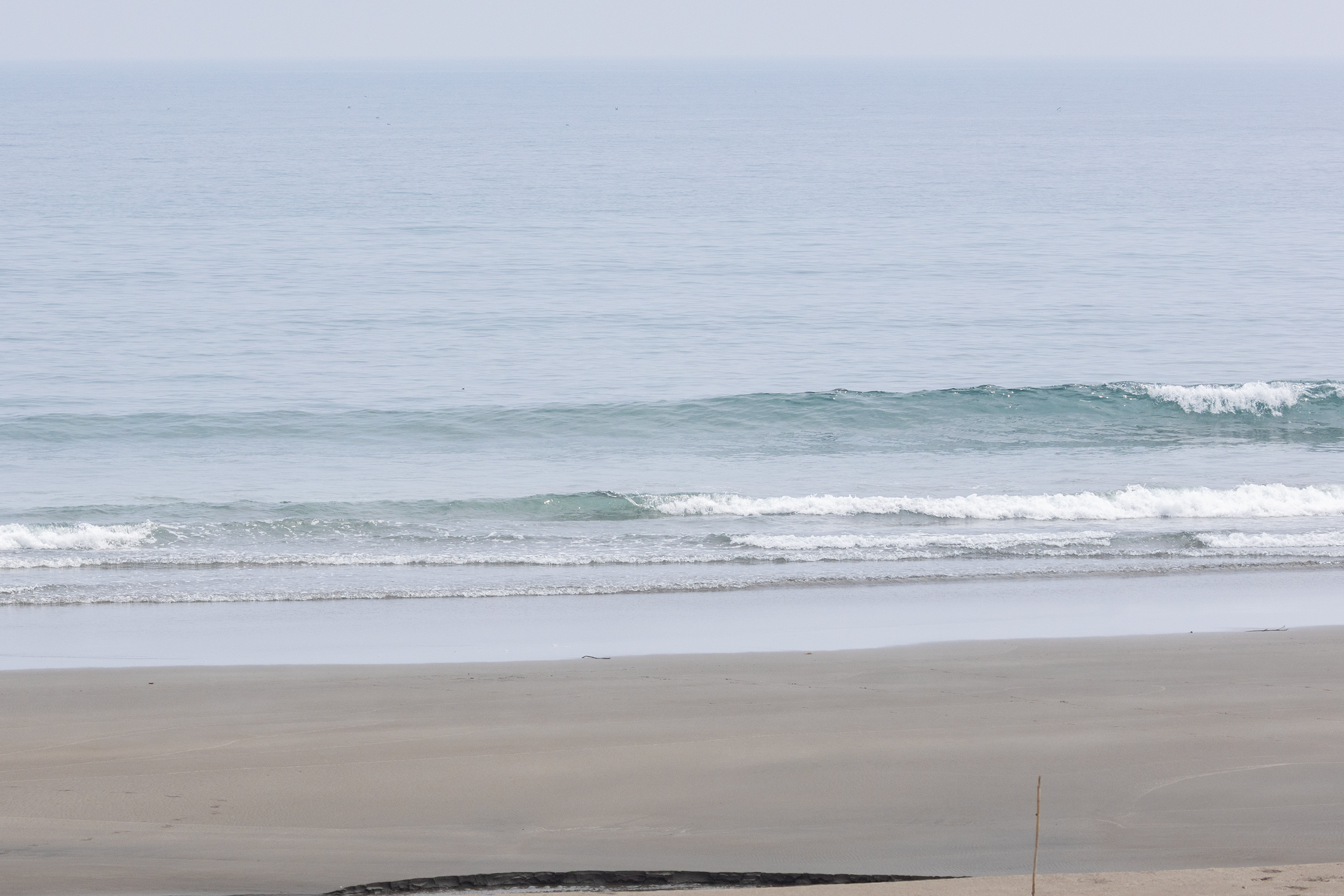 和田 サーフィン・波情報/Surf Report WeekdaySurfReport SURF+